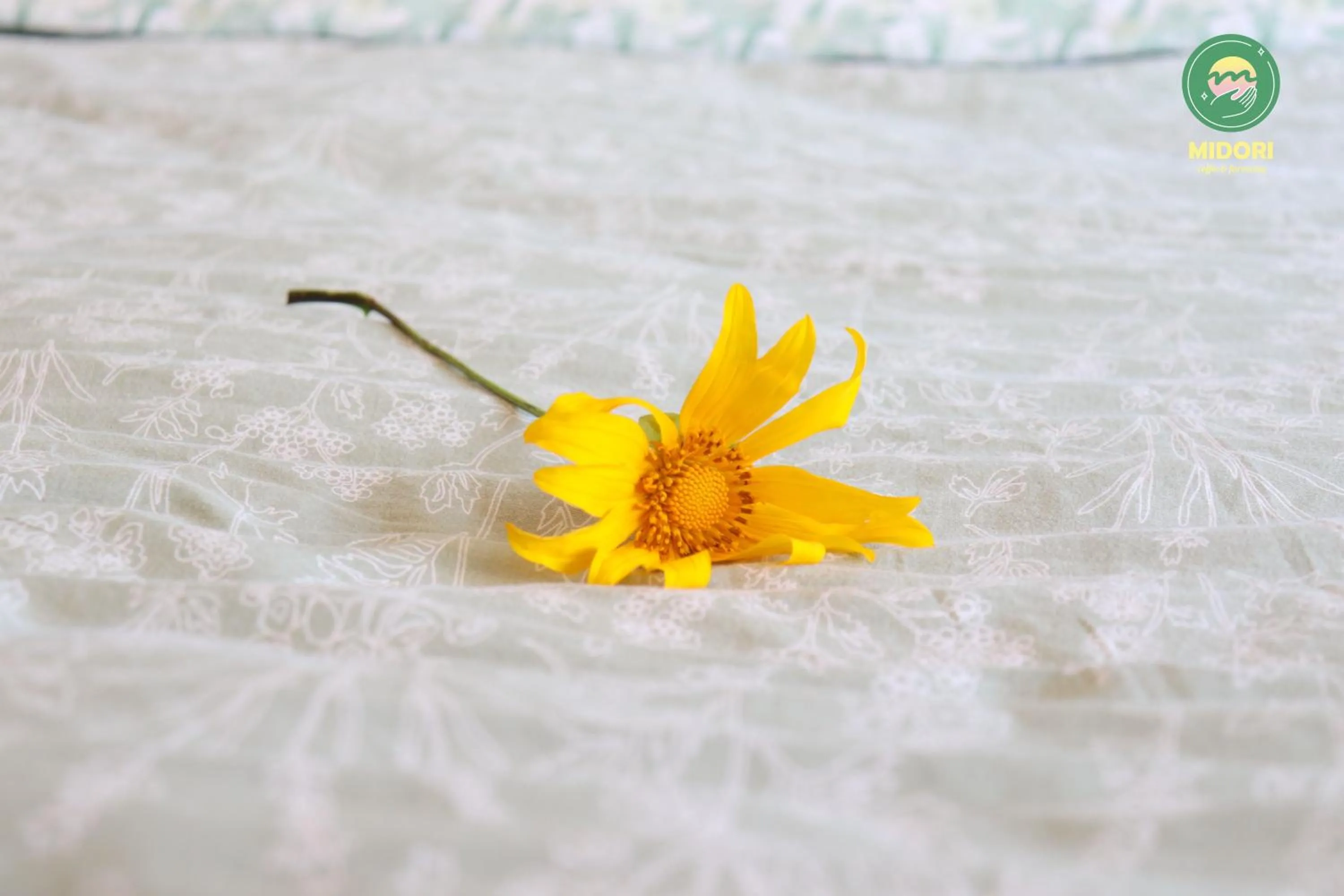 Property building in Midori Heritage Coffee Farm