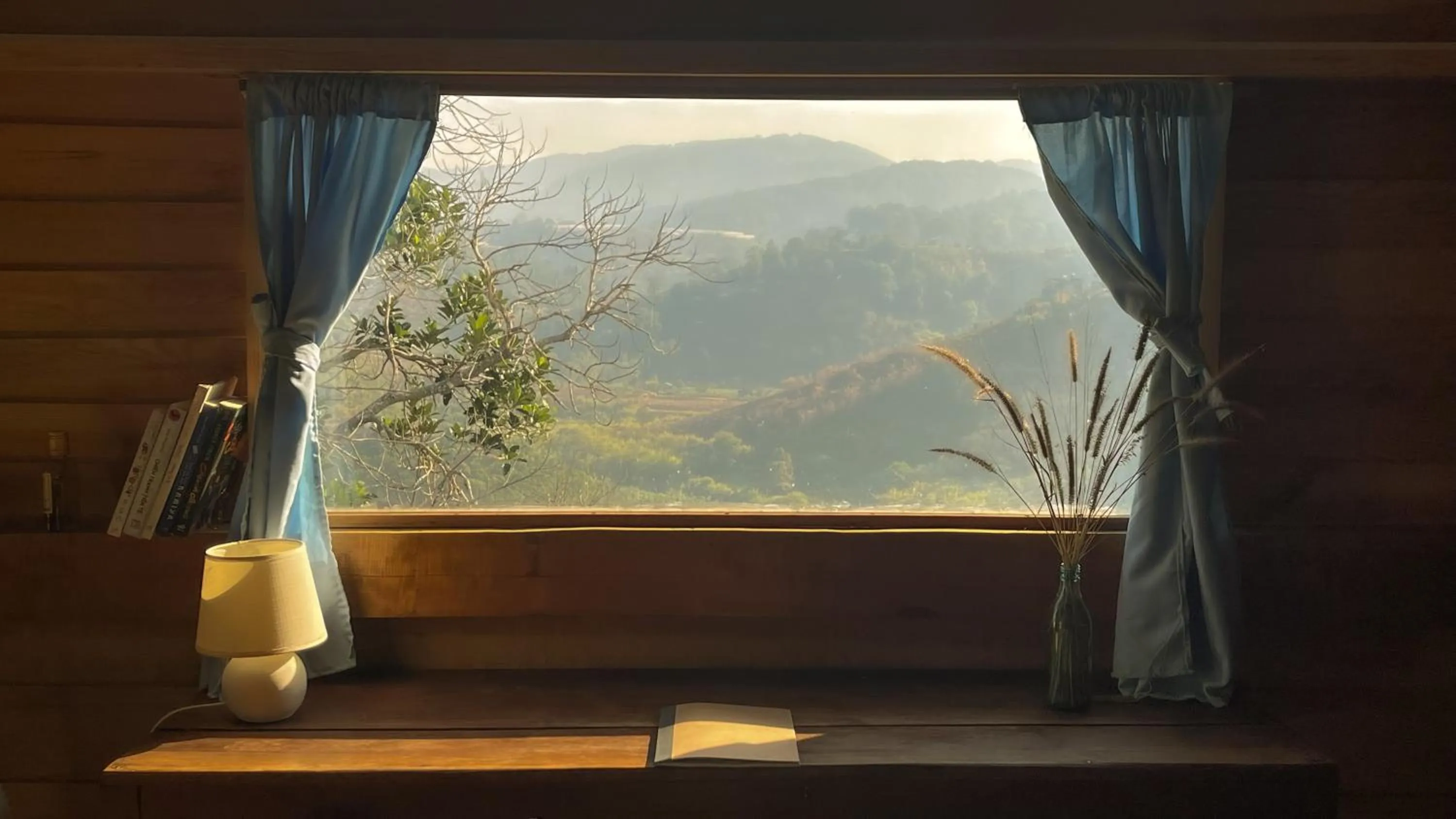 Natural landscape in Midori Heritage Coffee Farm