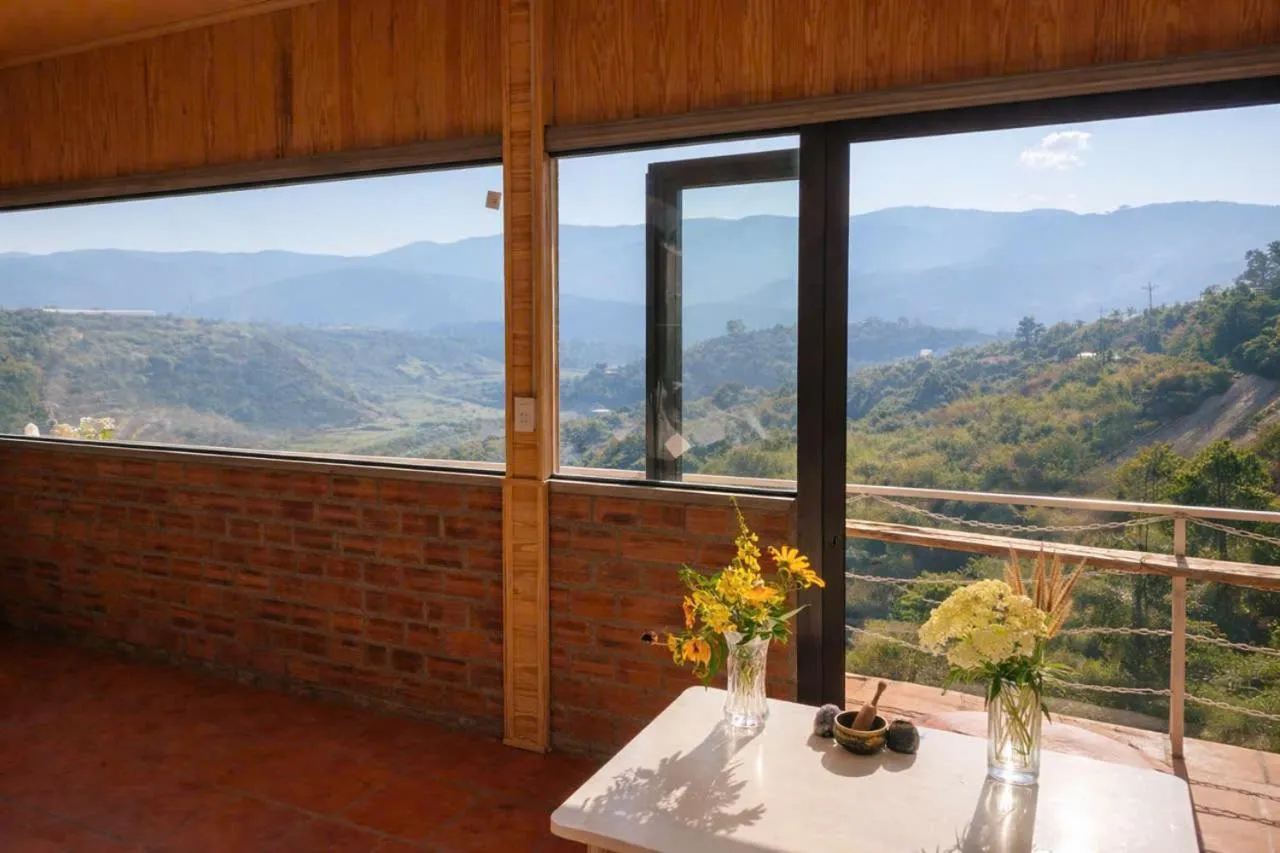 View (from property/room) in Midori Heritage Coffee Farm