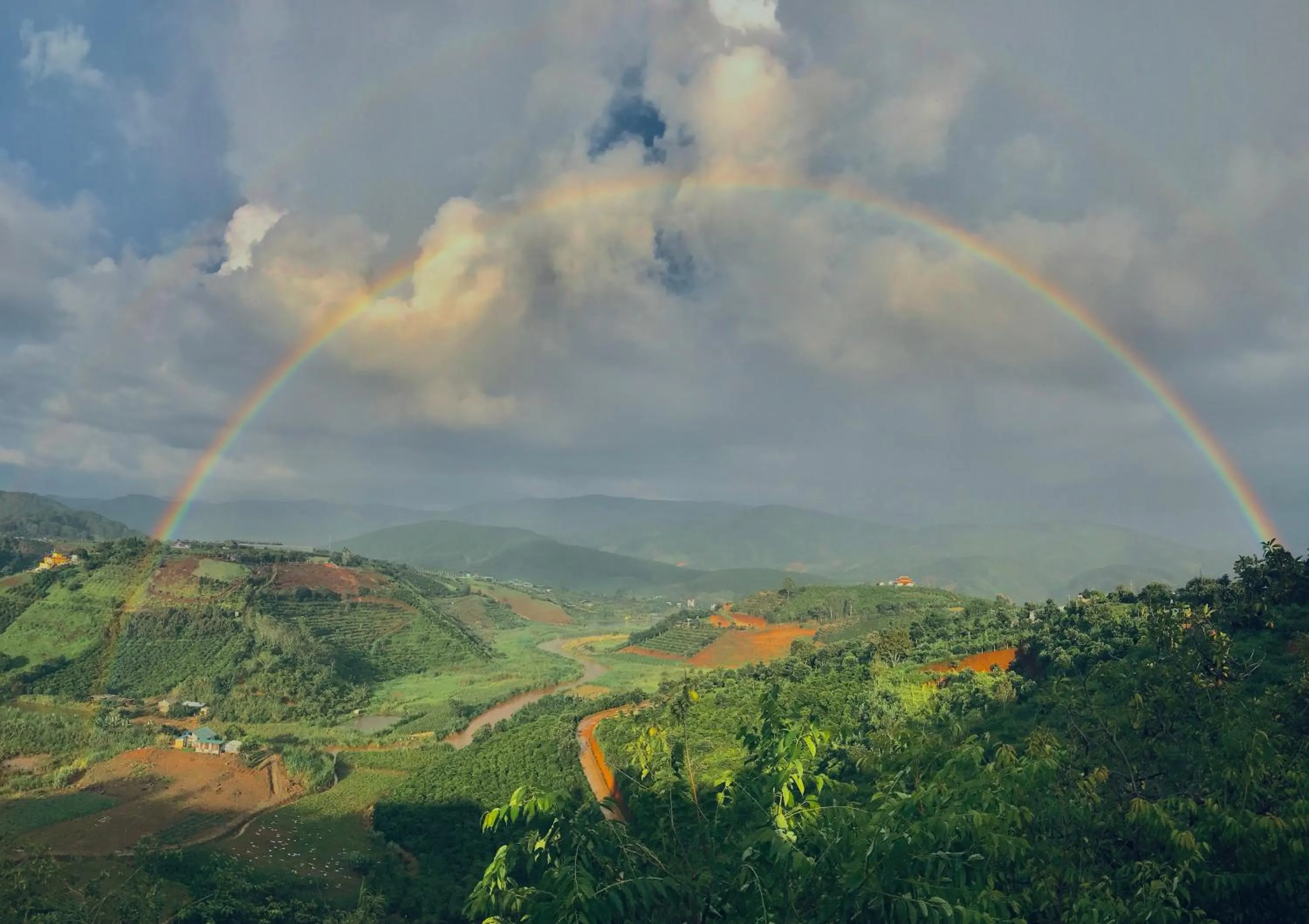 Natural landscape in Midori Heritage Coffee Farm