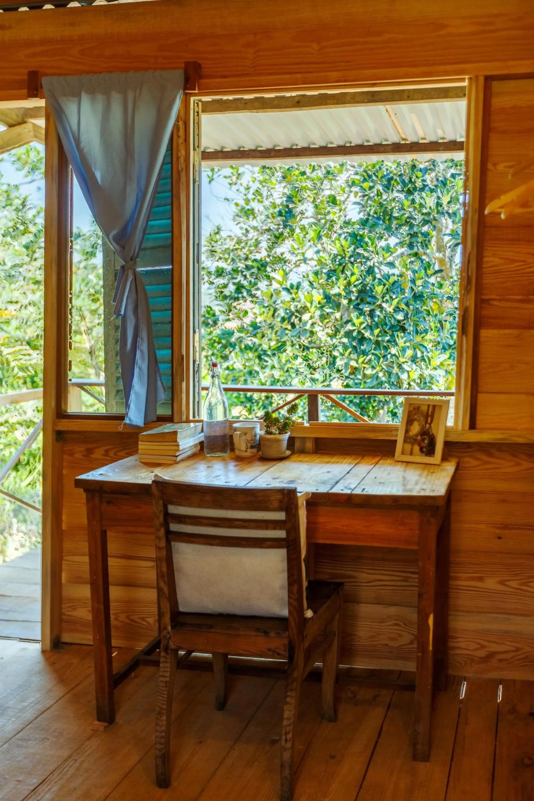 Day in Midori Heritage Coffee Farm