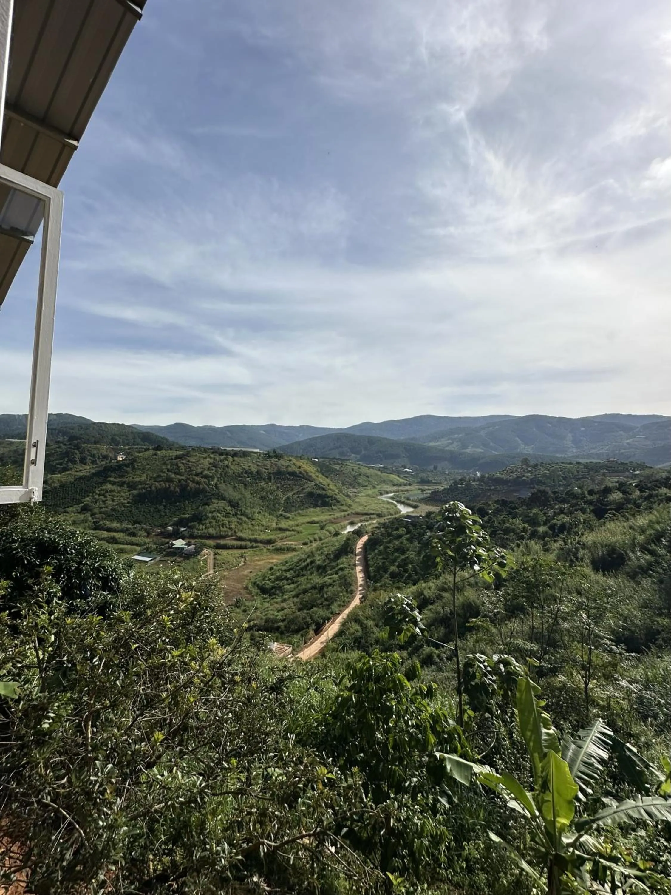 Natural landscape in Midori Heritage Coffee Farm