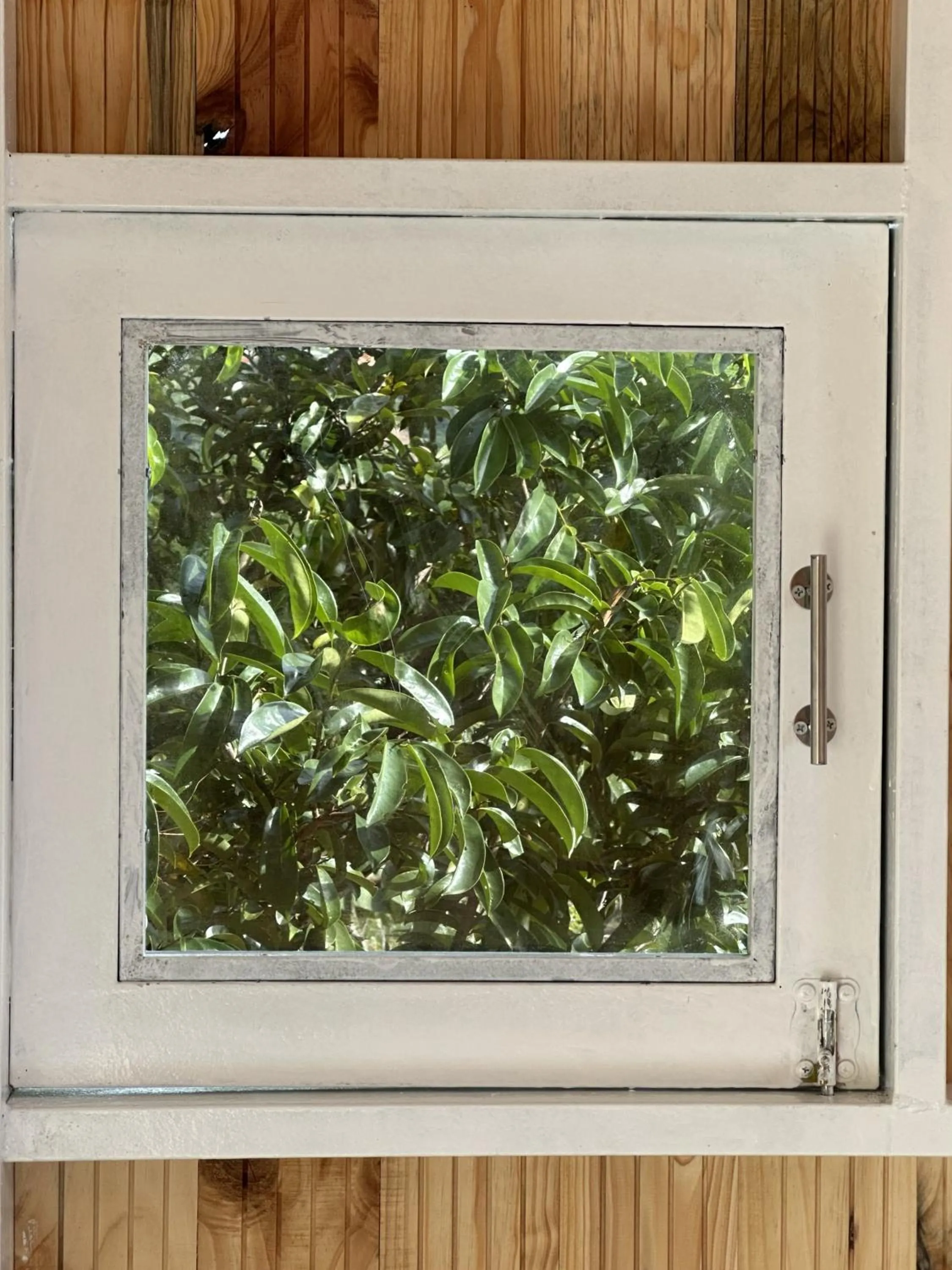 Garden in Midori Heritage Coffee Farm