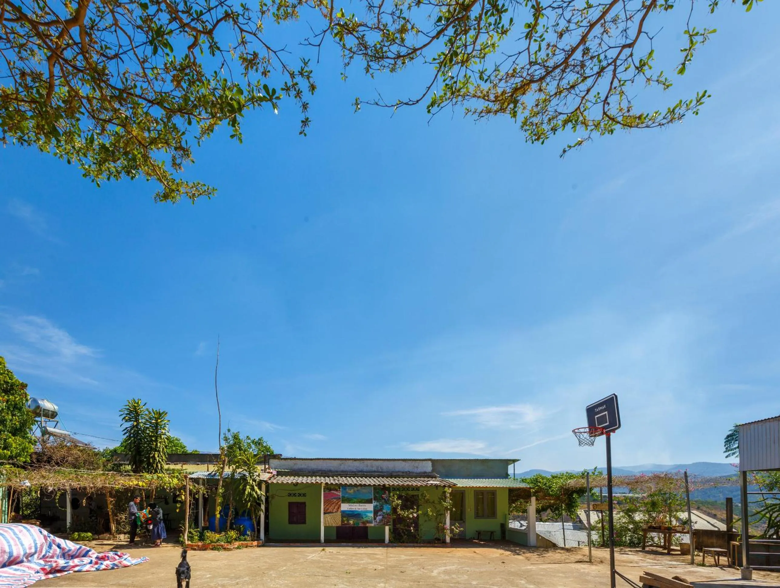 Day in Midori Heritage Coffee Farm