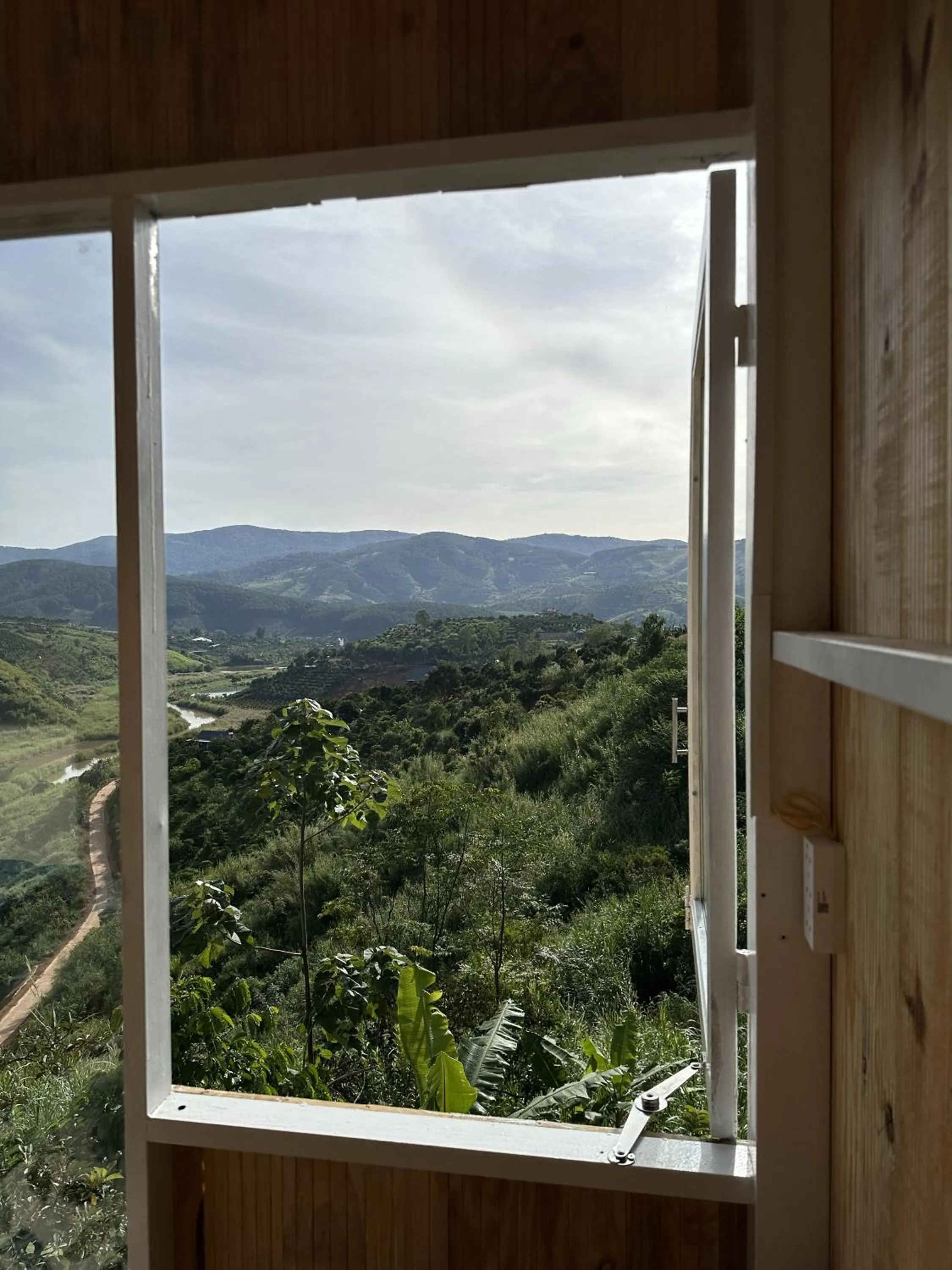 Natural landscape in Midori Heritage Coffee Farm