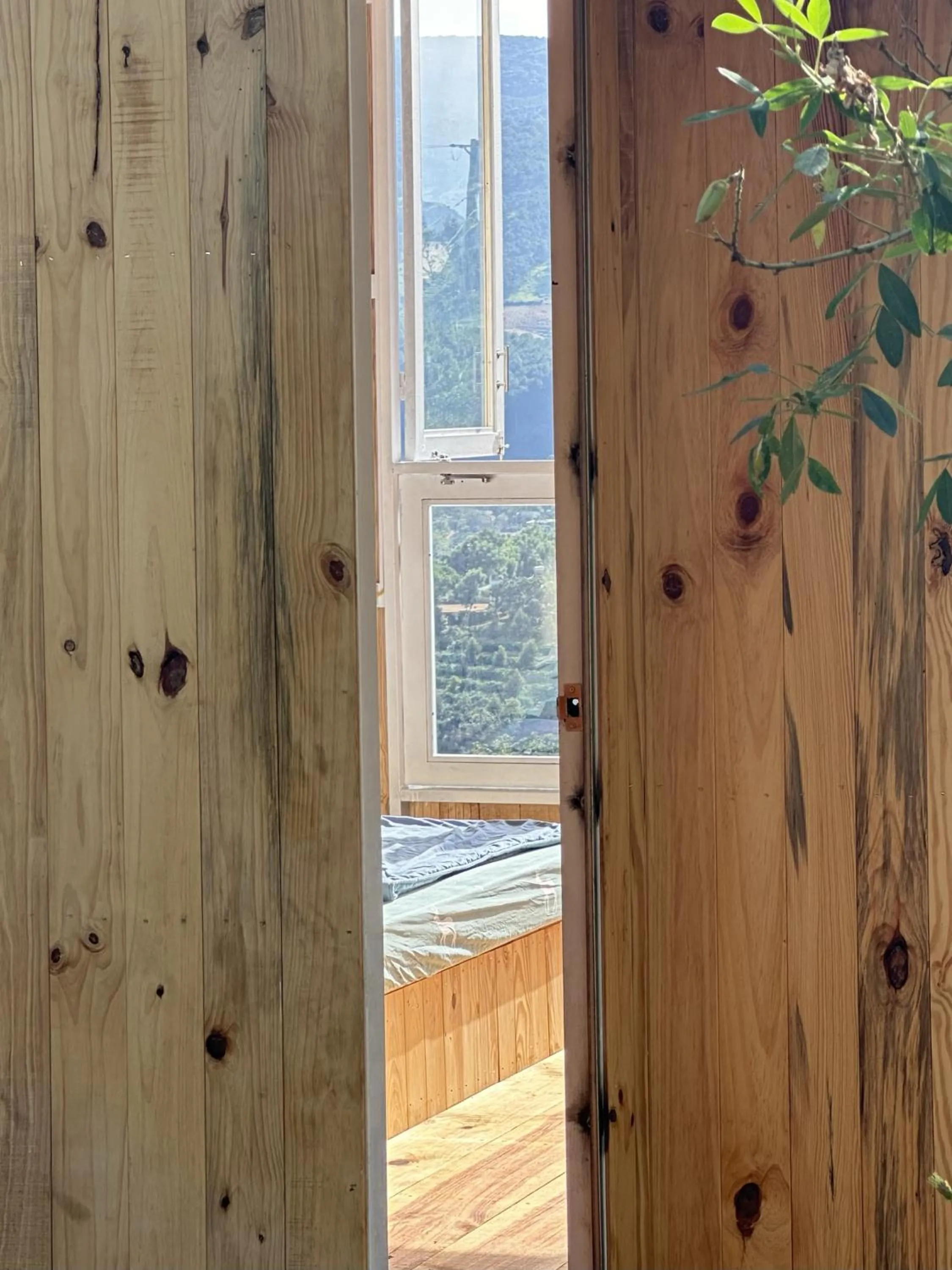 Day in Midori Heritage Coffee Farm