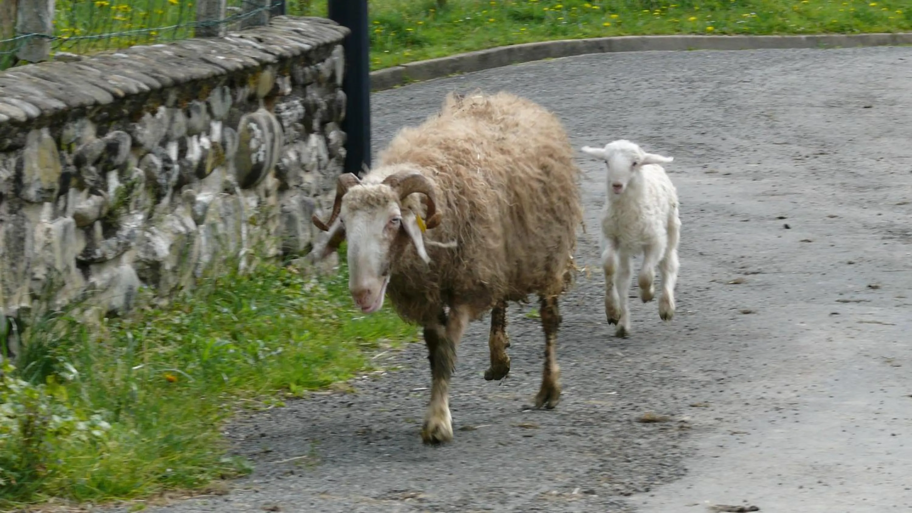 Property building in chambre chez sylvie