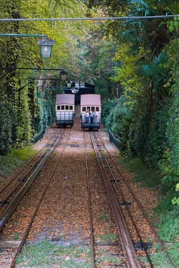 Area and facilities in Hotel do Lago
