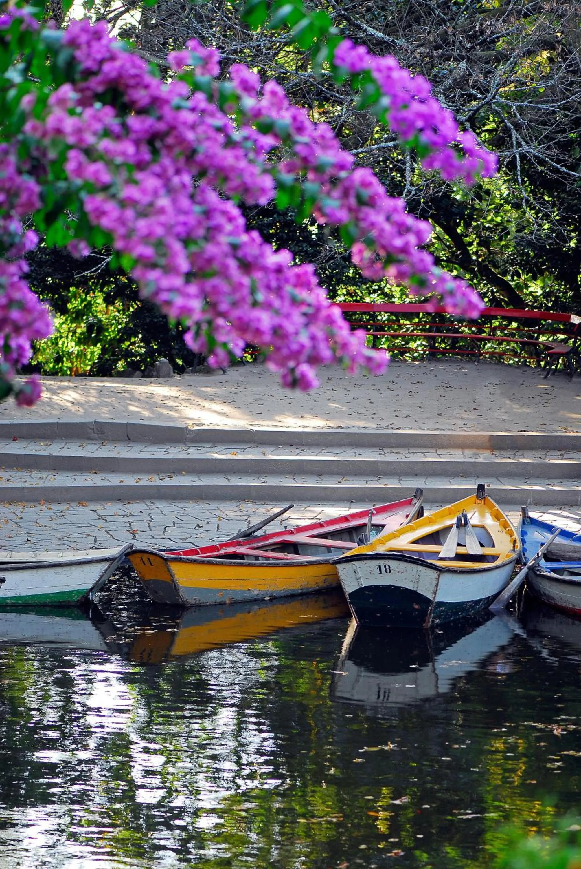 Neighbourhood in Hotel do Lago