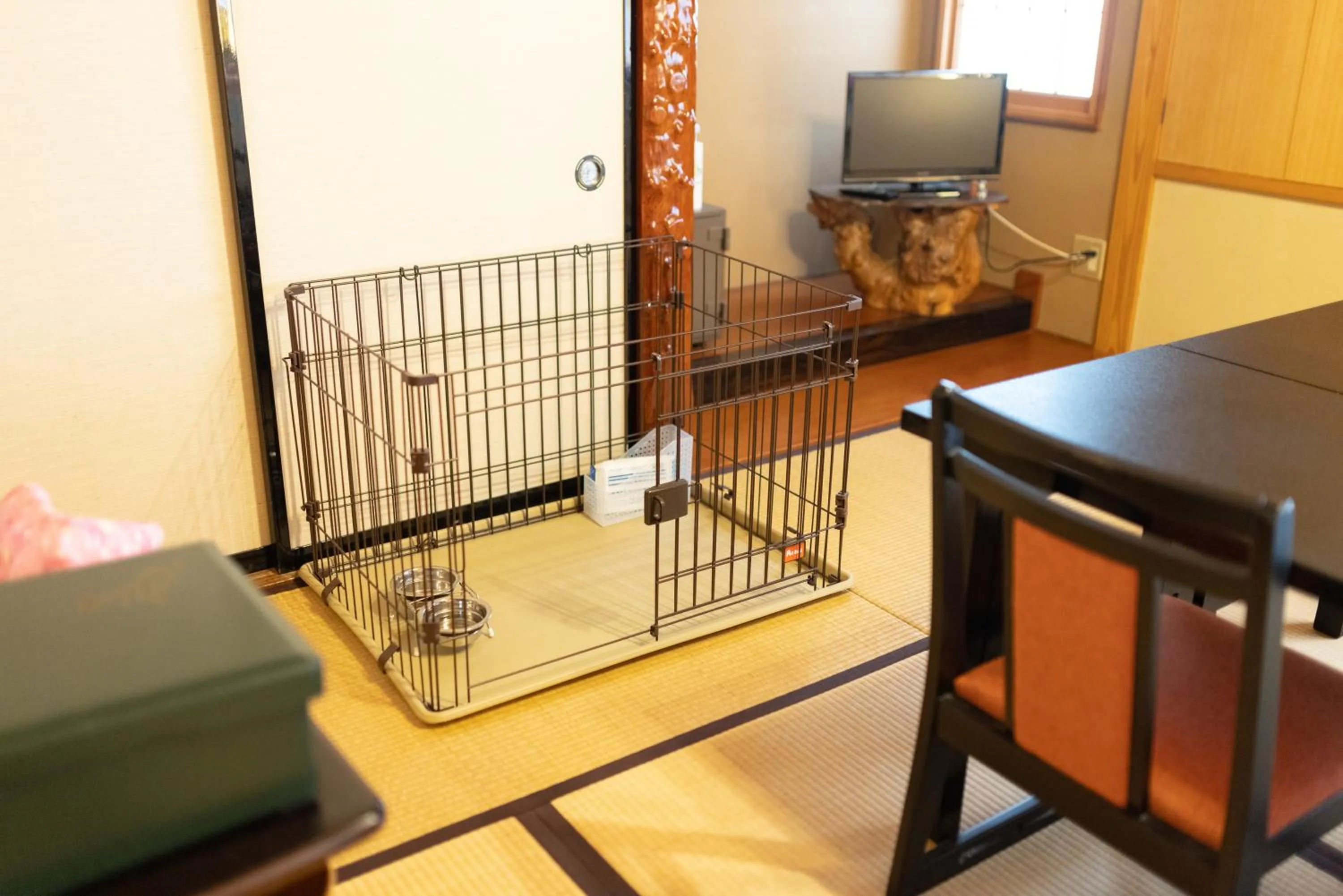 Living room in Niemonya