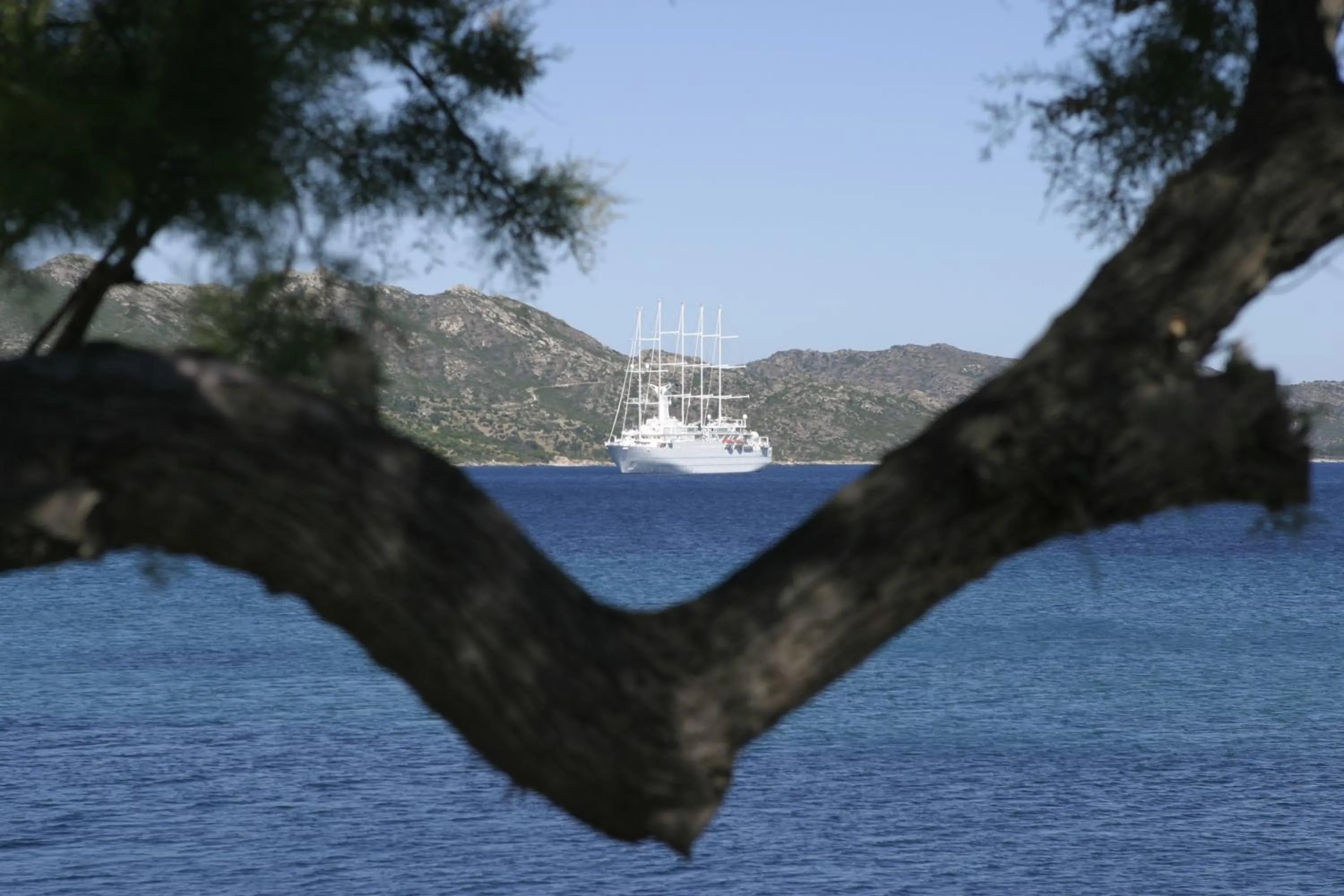 Garden in Hôtel Dolce Notte