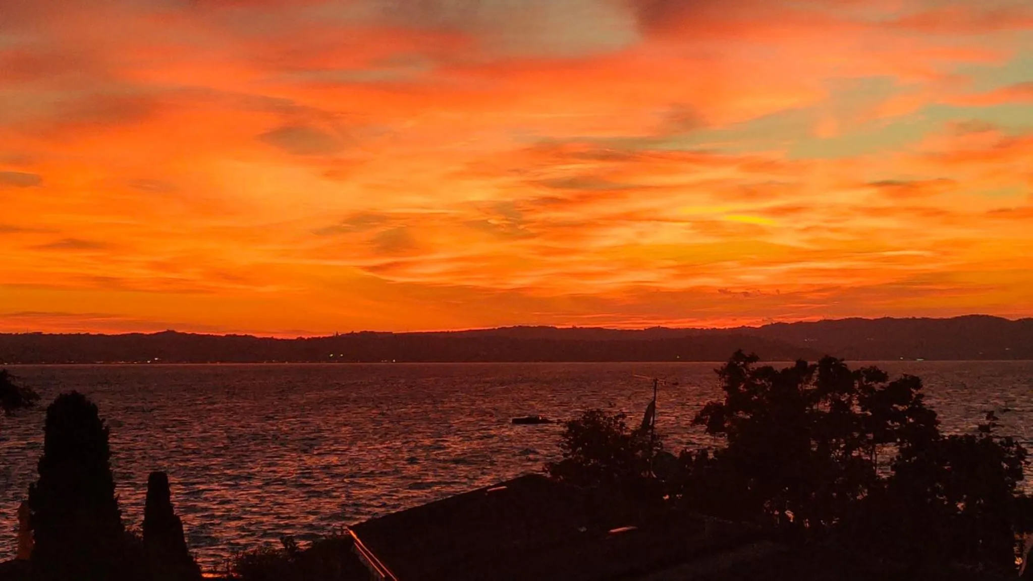 Balcony/Terrace in Hotel Luna