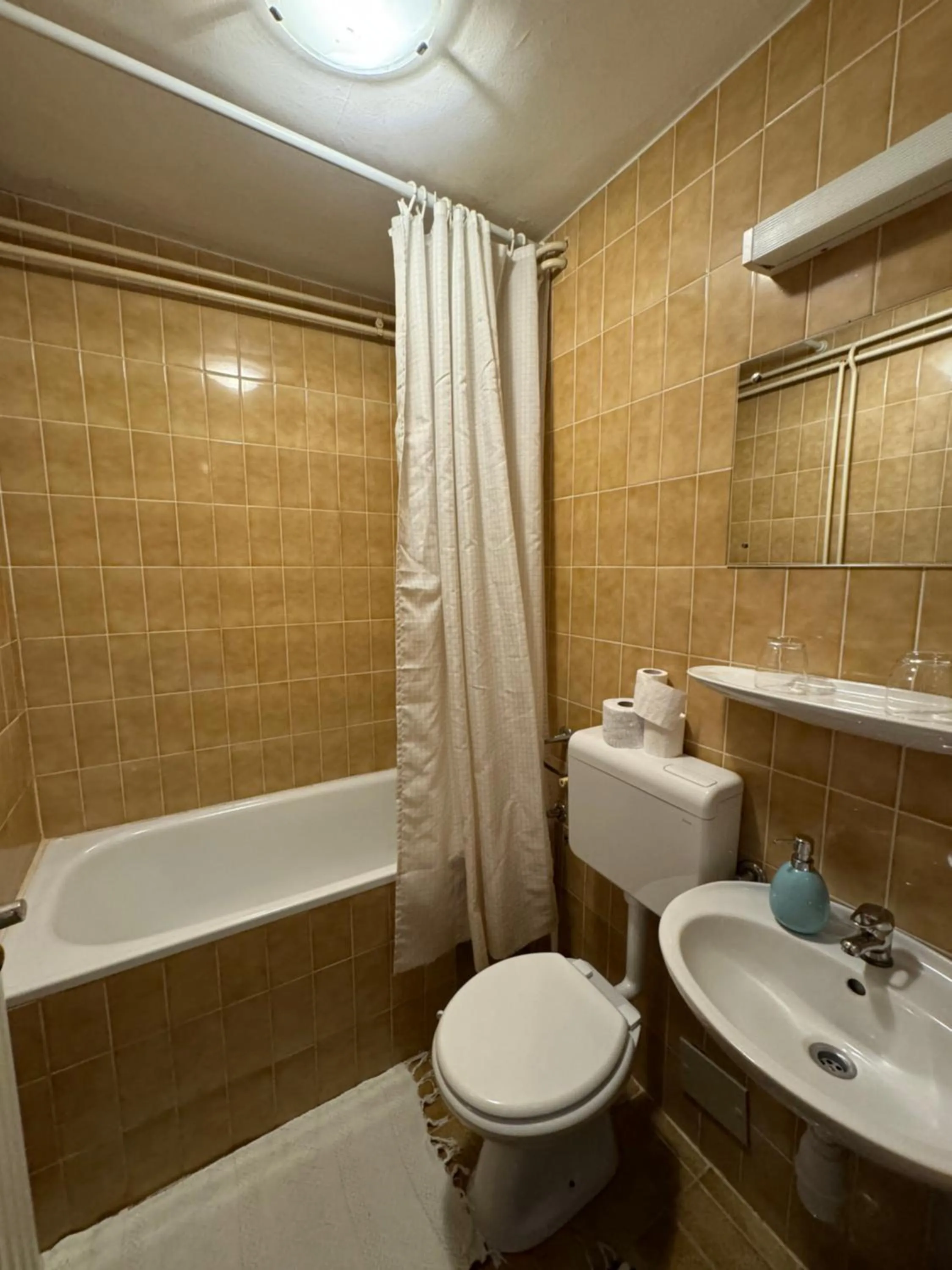 Toilet in Pension Cerkovnik