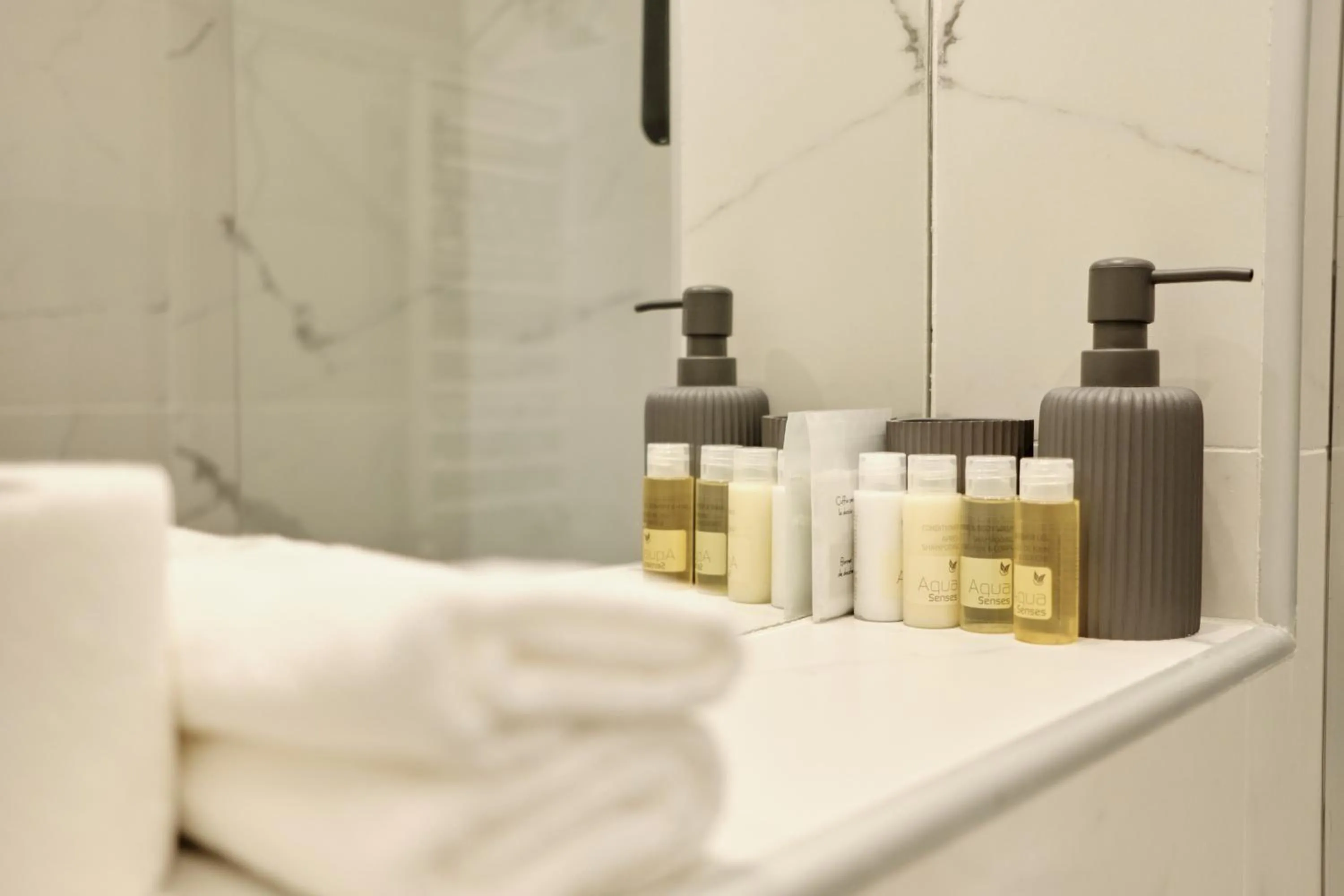 Bathroom in Apartments Zebra