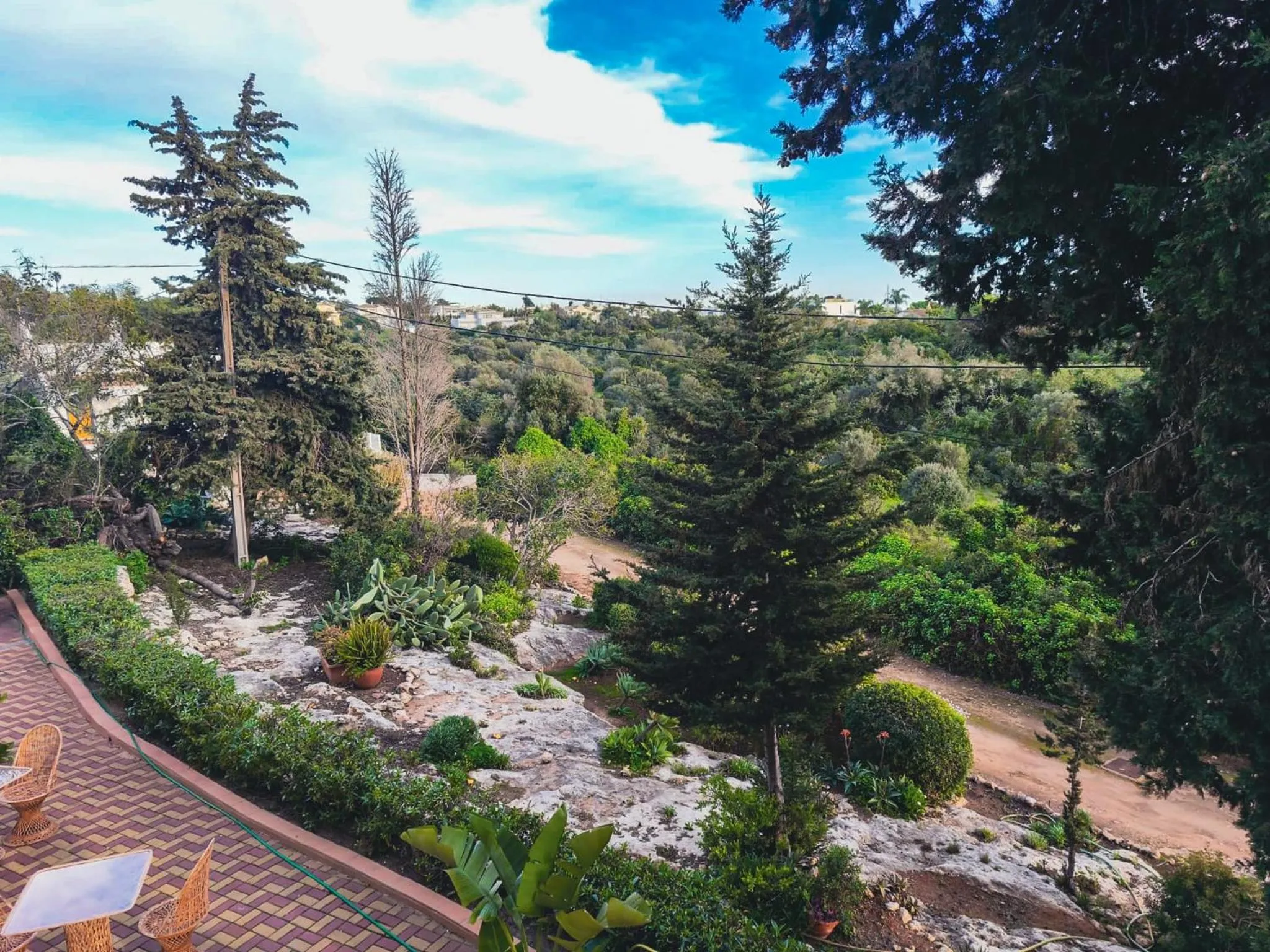 Garden in Villa Welwitshia