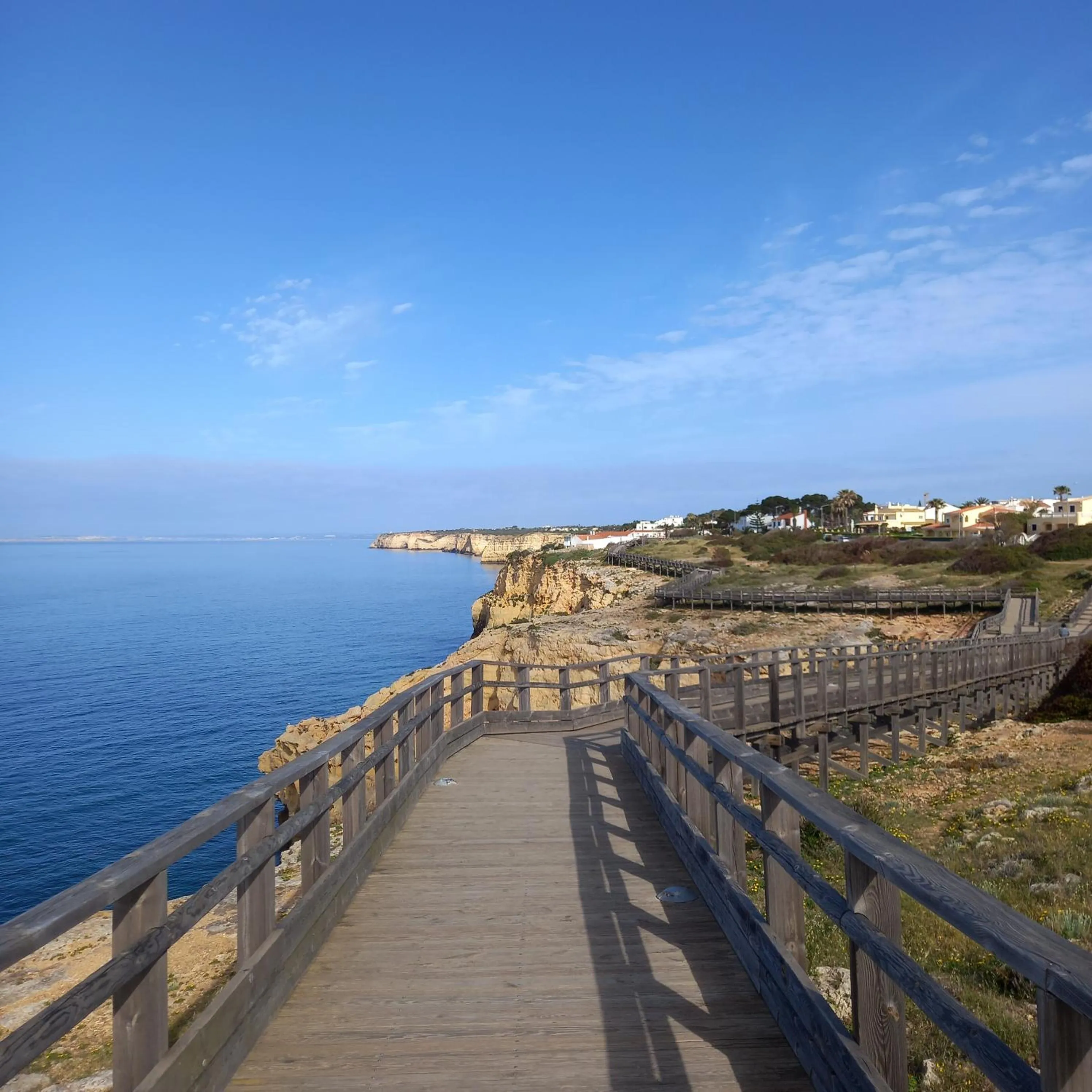 Natural landscape in Villa Welwitshia