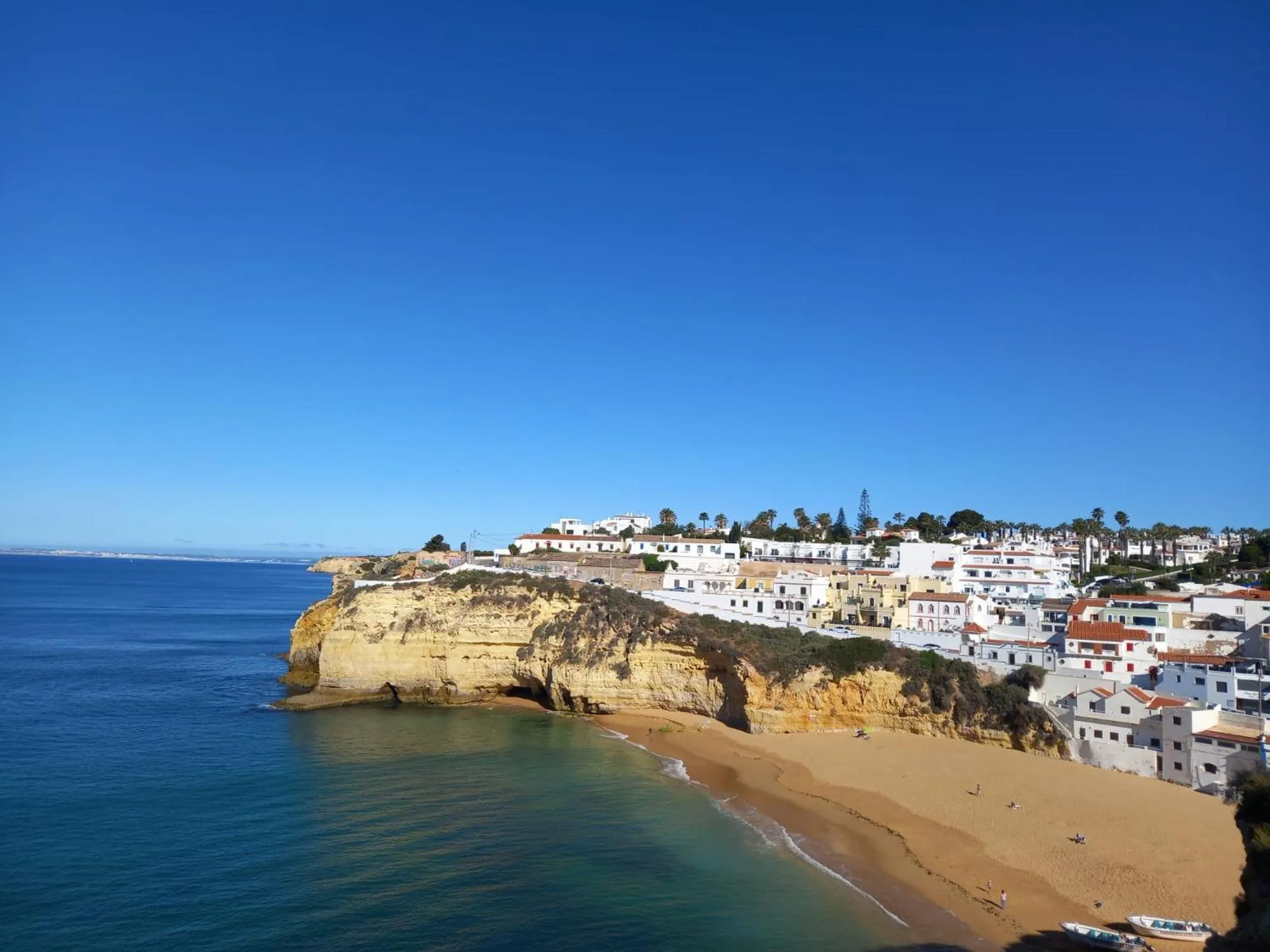 Nearby landmark in Villa Welwitshia