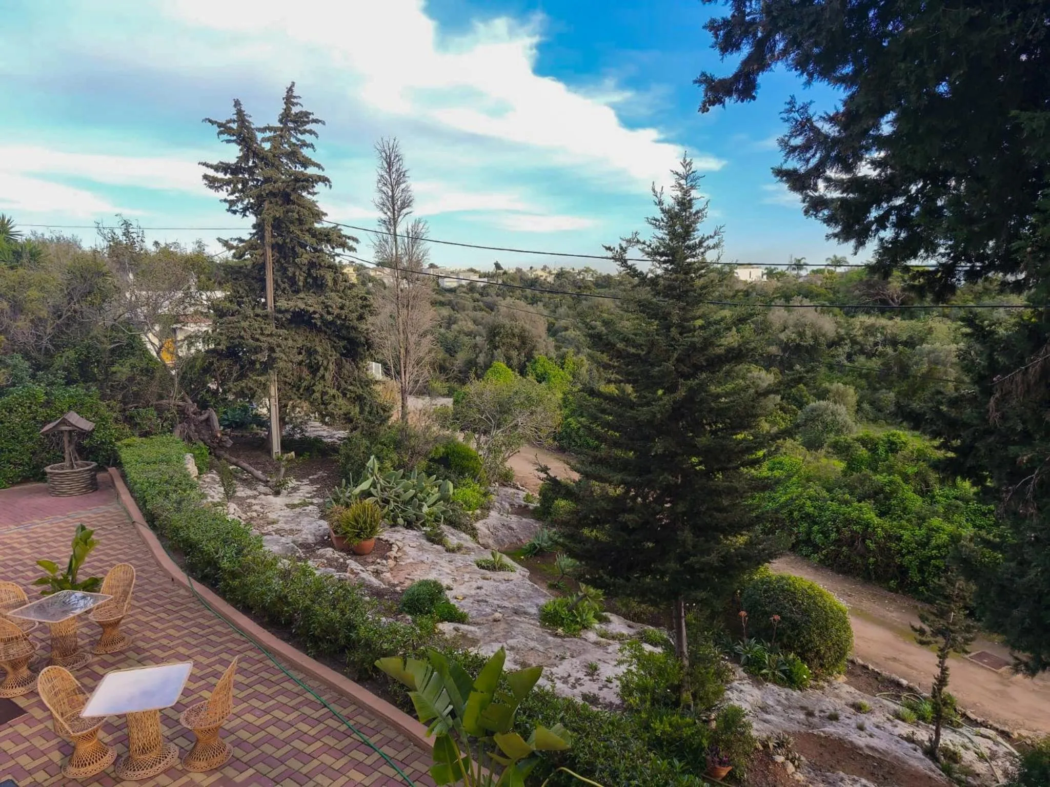 Garden in Villa Welwitshia