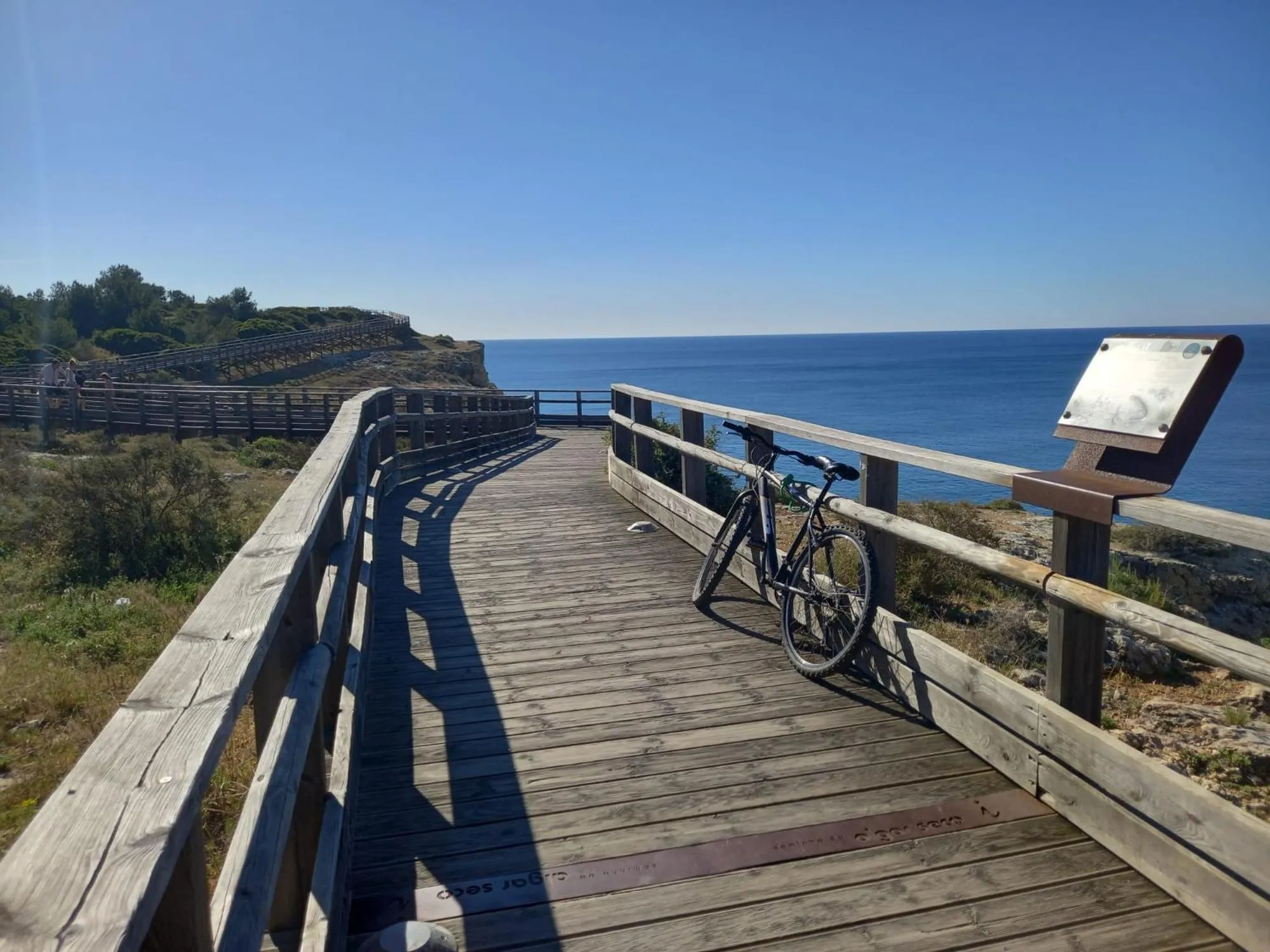 Natural landscape in Villa Welwitshia