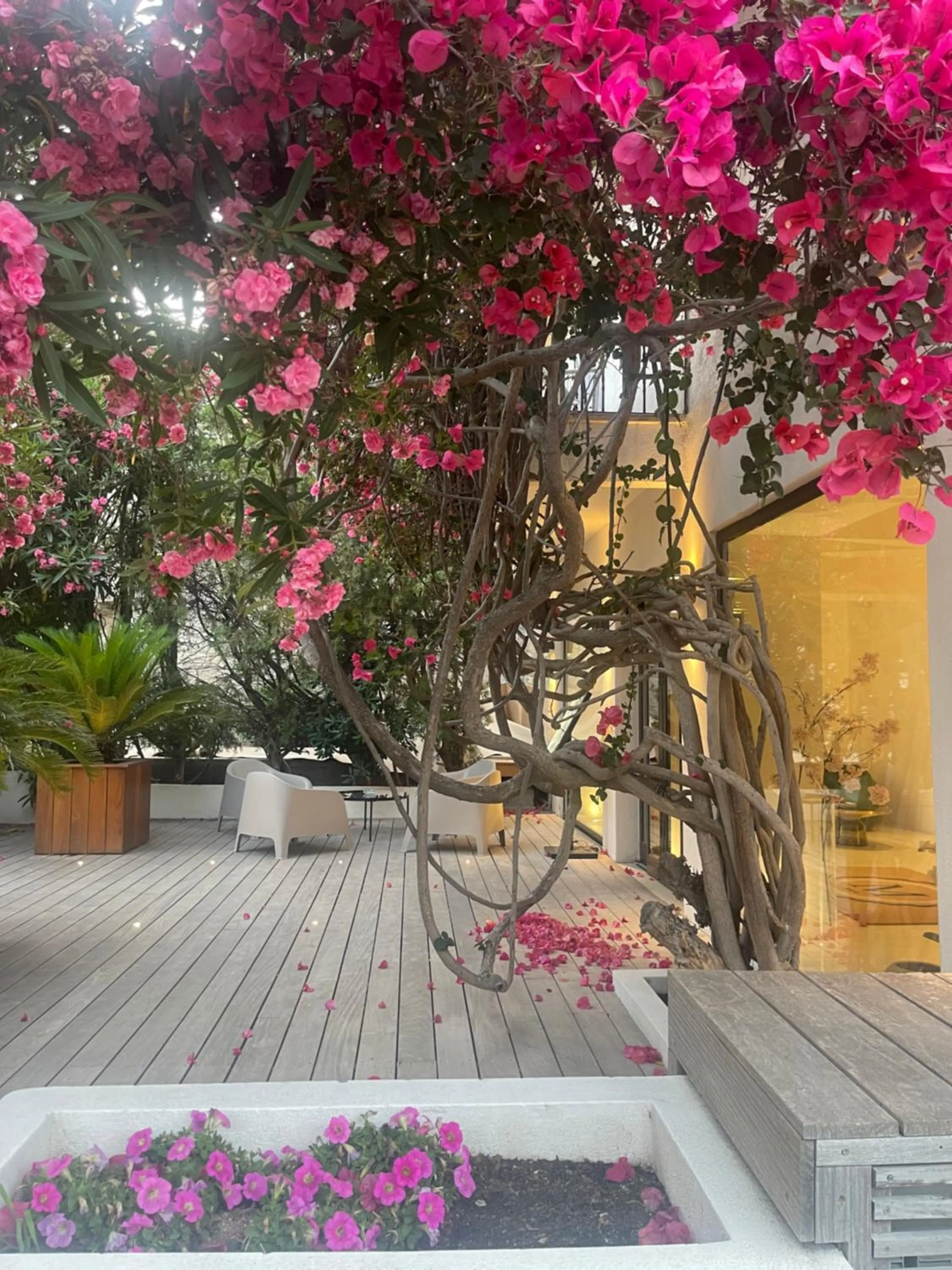 Patio in Hôtel Le Mistral