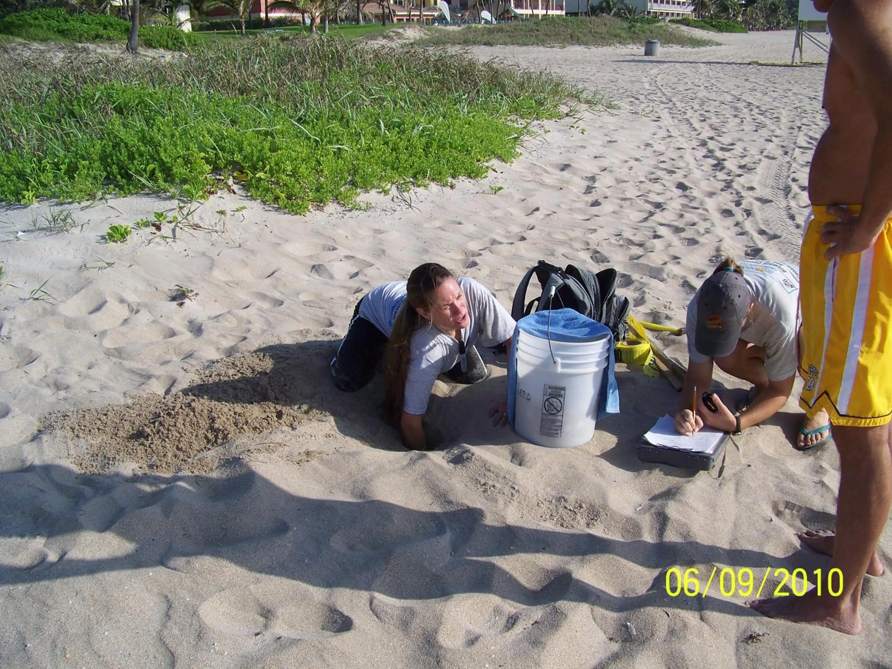 Facade/entrance in Ebb Tide Resort