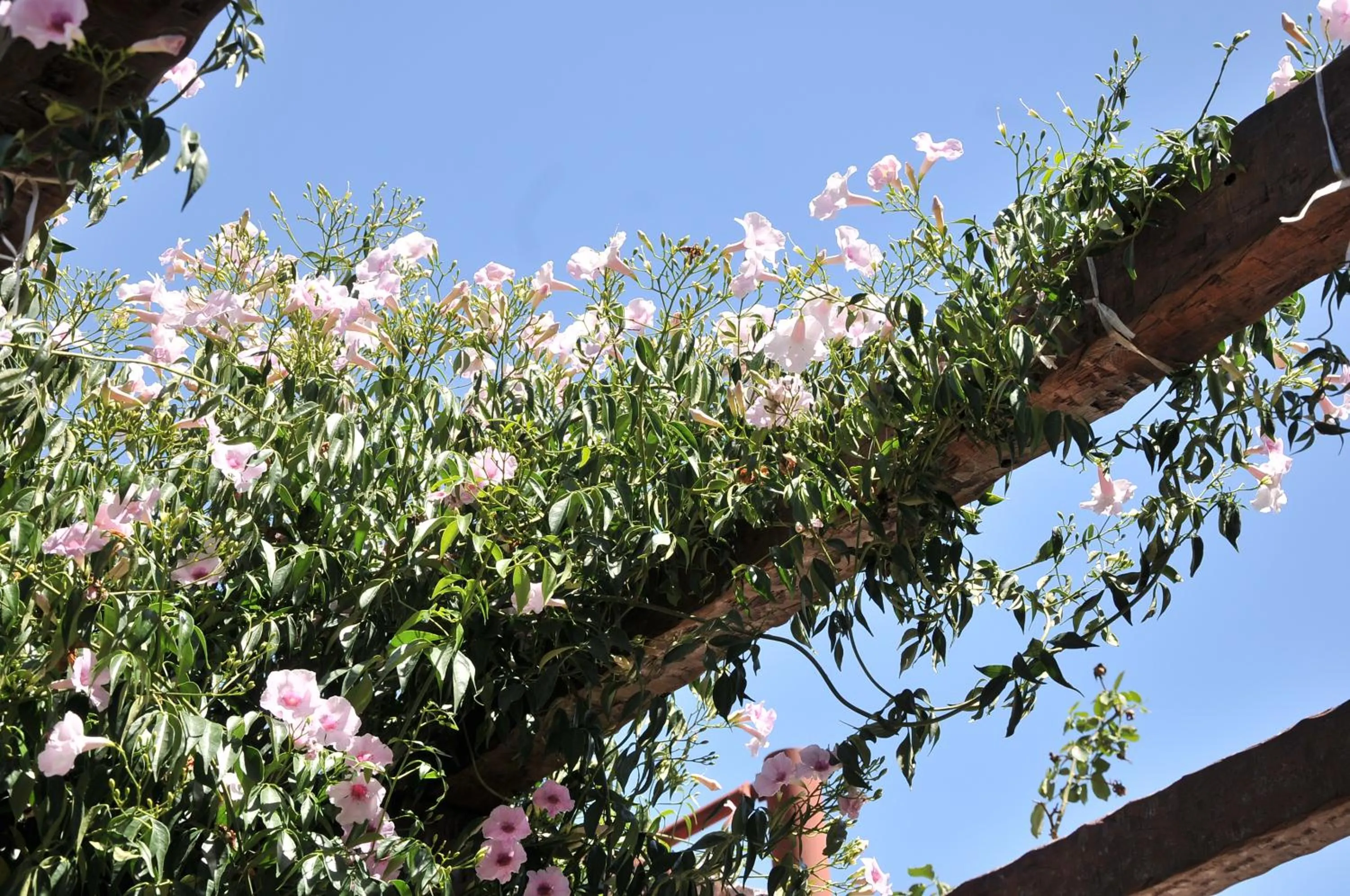 Natural landscape in Hotel Mirador de las Sierras