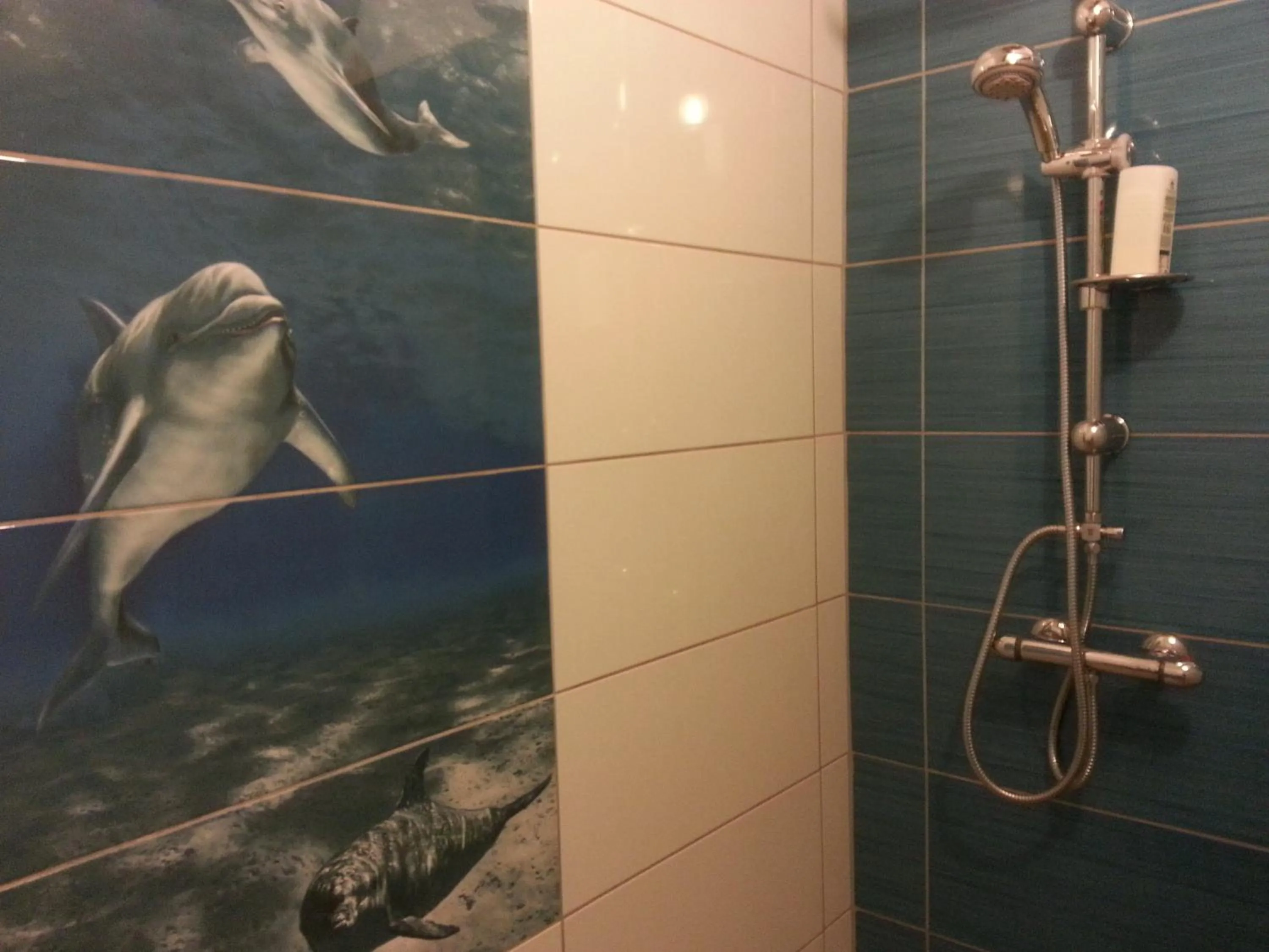 Shower in Ferme du Montheu