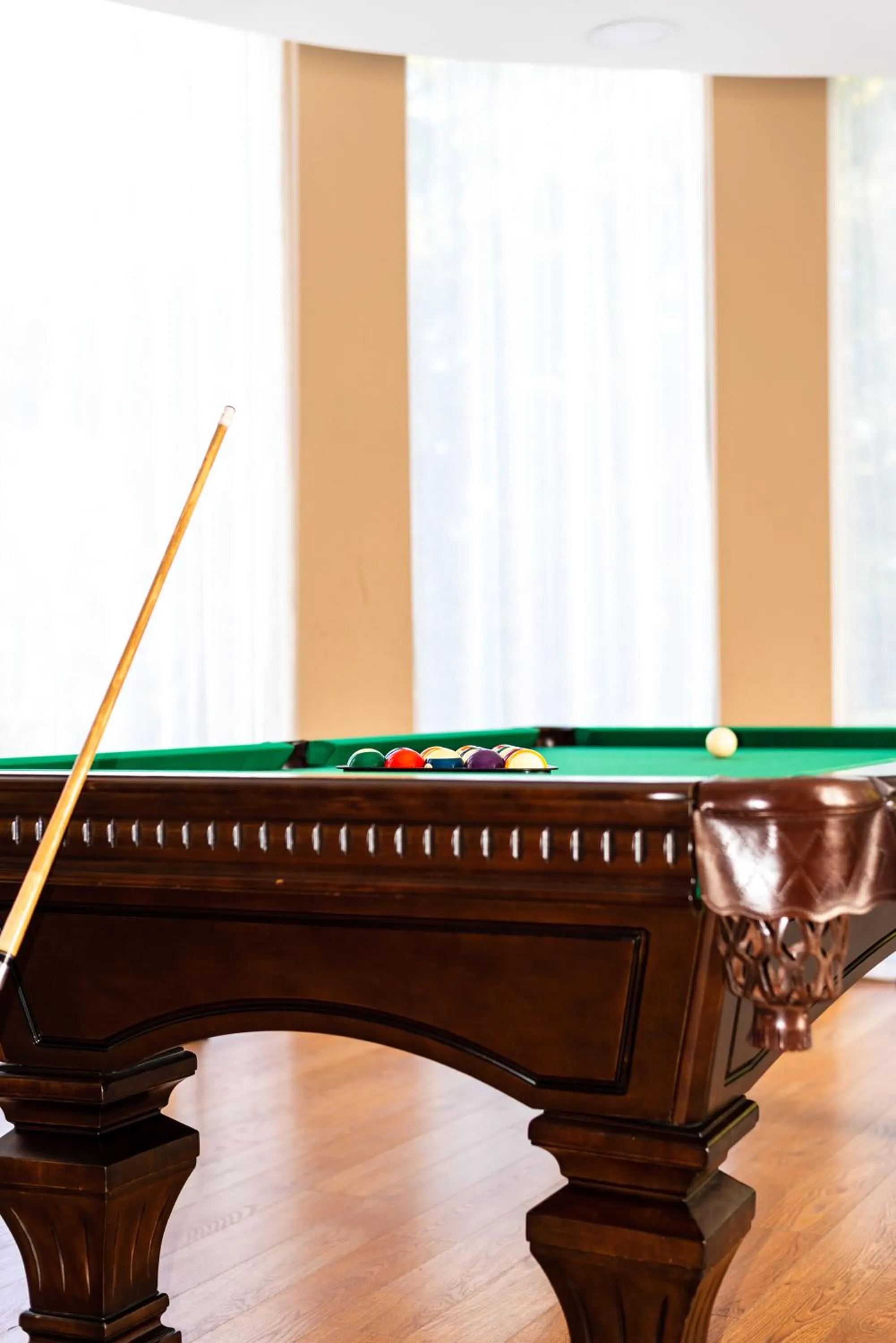 Billiard in HOTEL VITAL