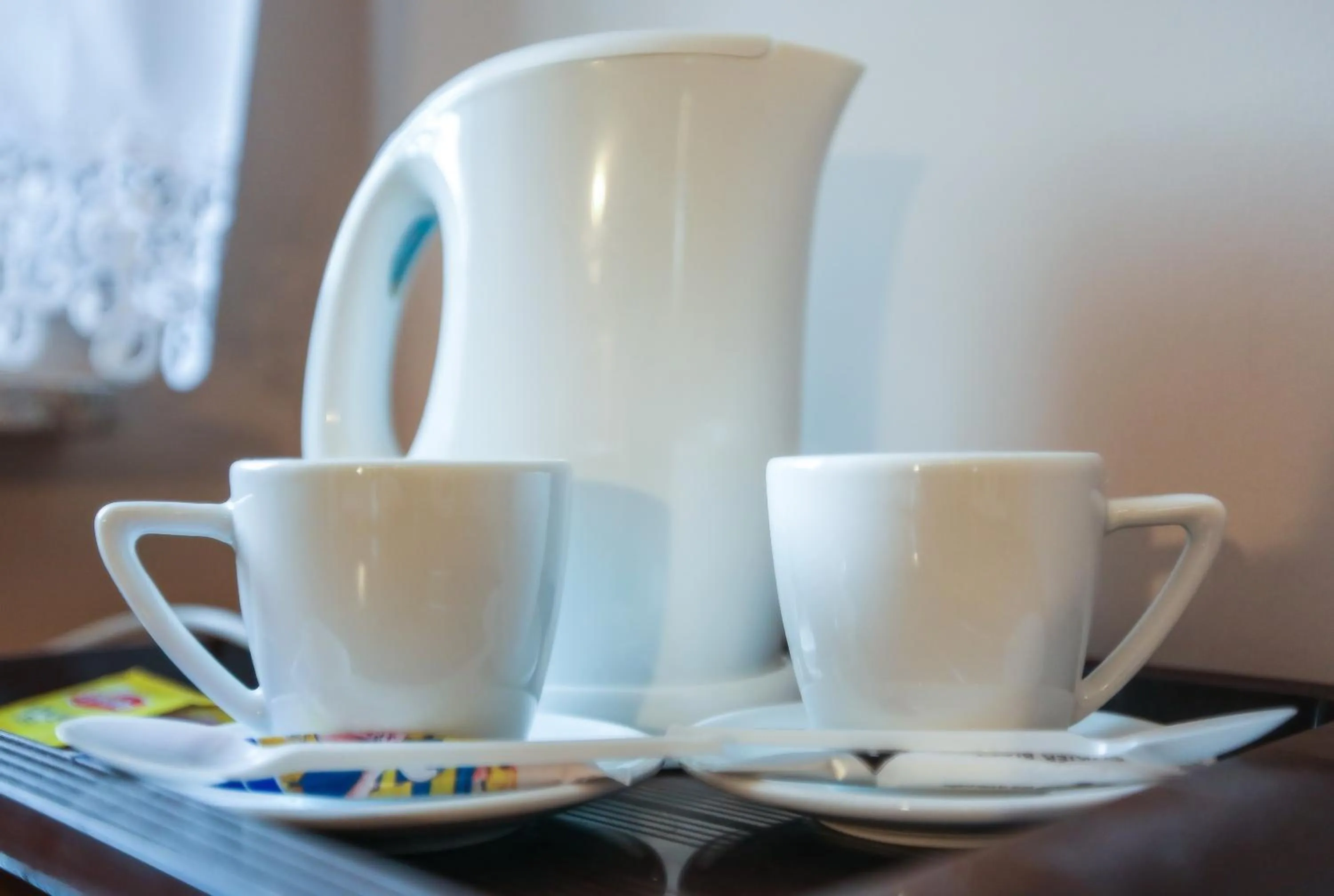 Other in Willa Kazimiera