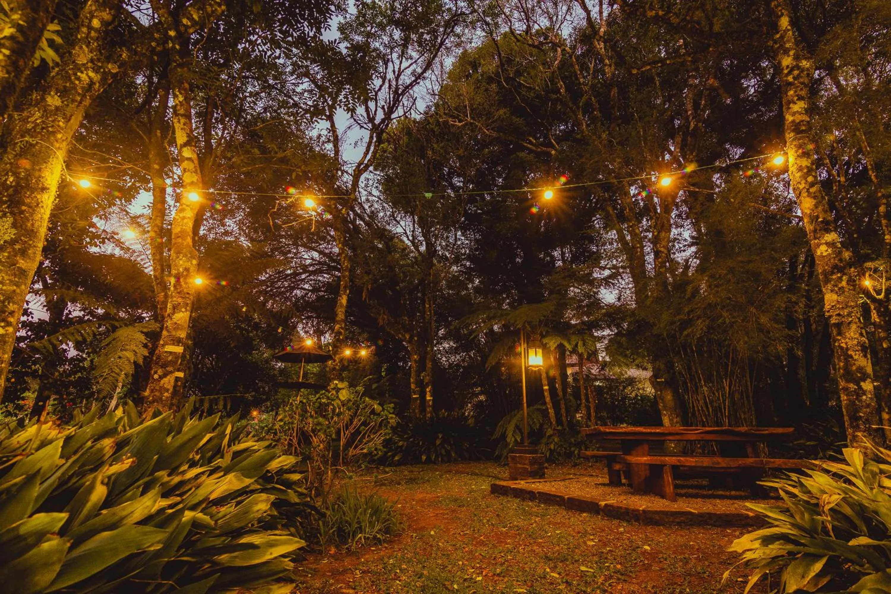 Garden in Pousada Betânia