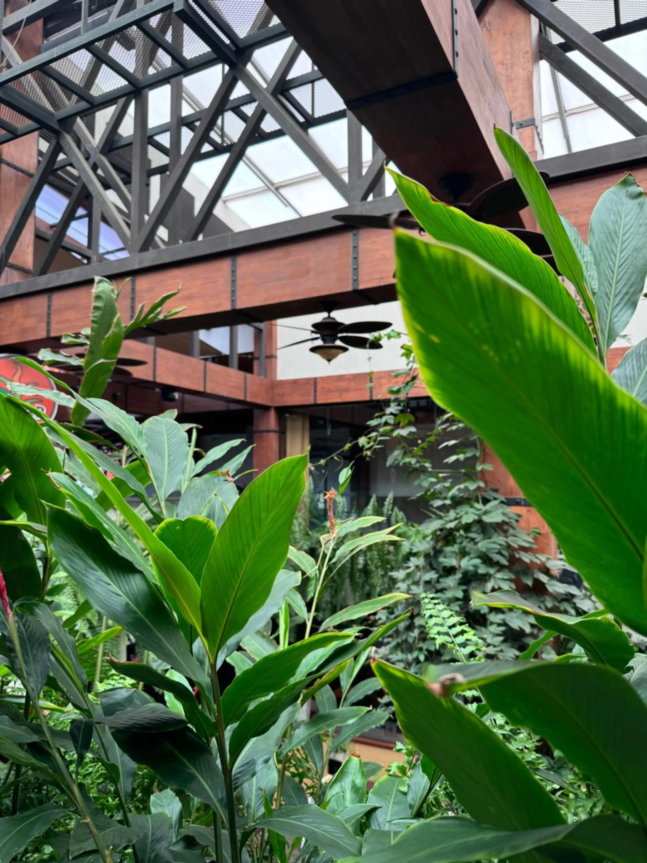 Lounge or bar in Balmoral Hotel San José CR, Historic District