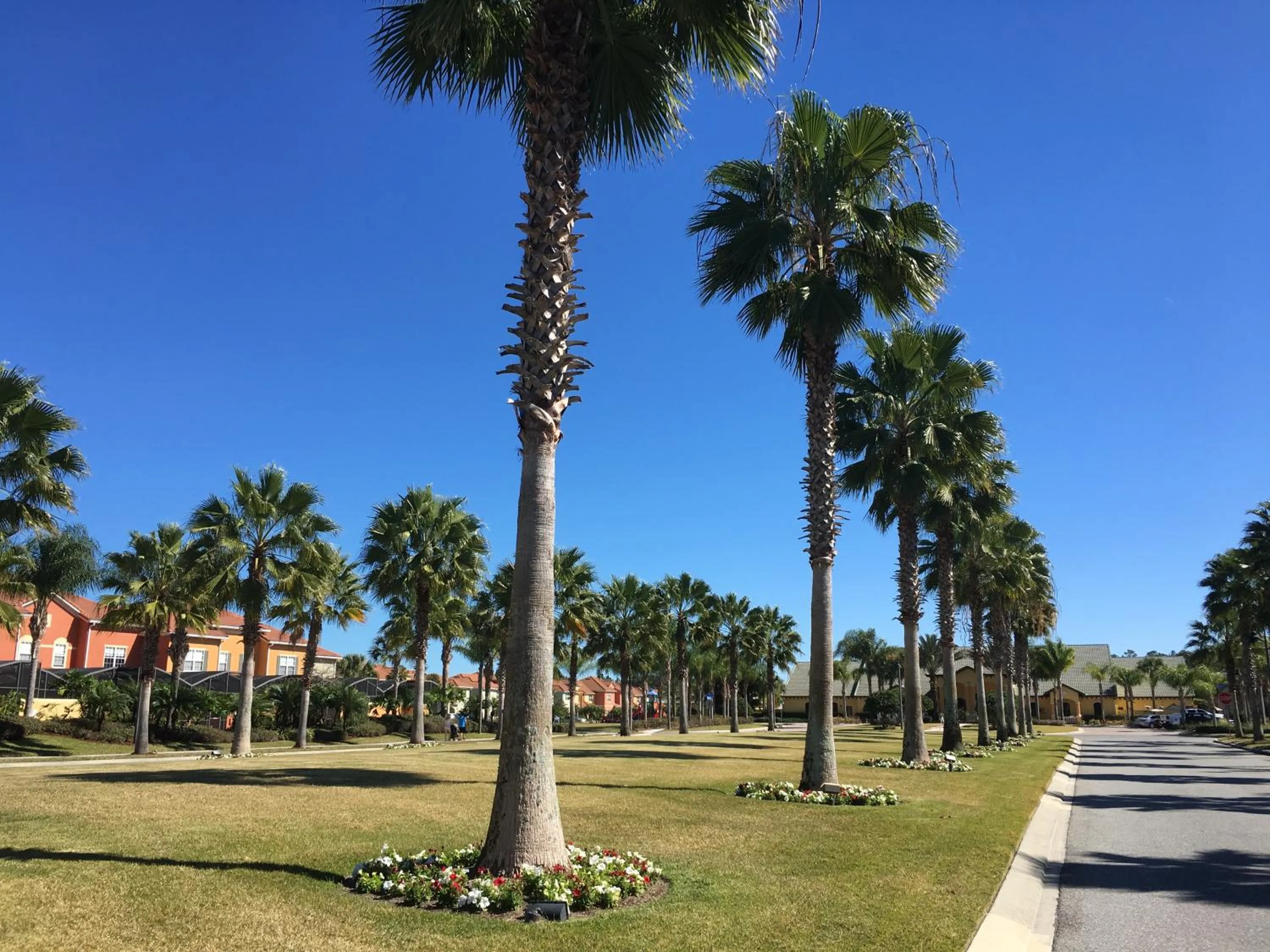 Facade/entrance in DWS Vacation Villas