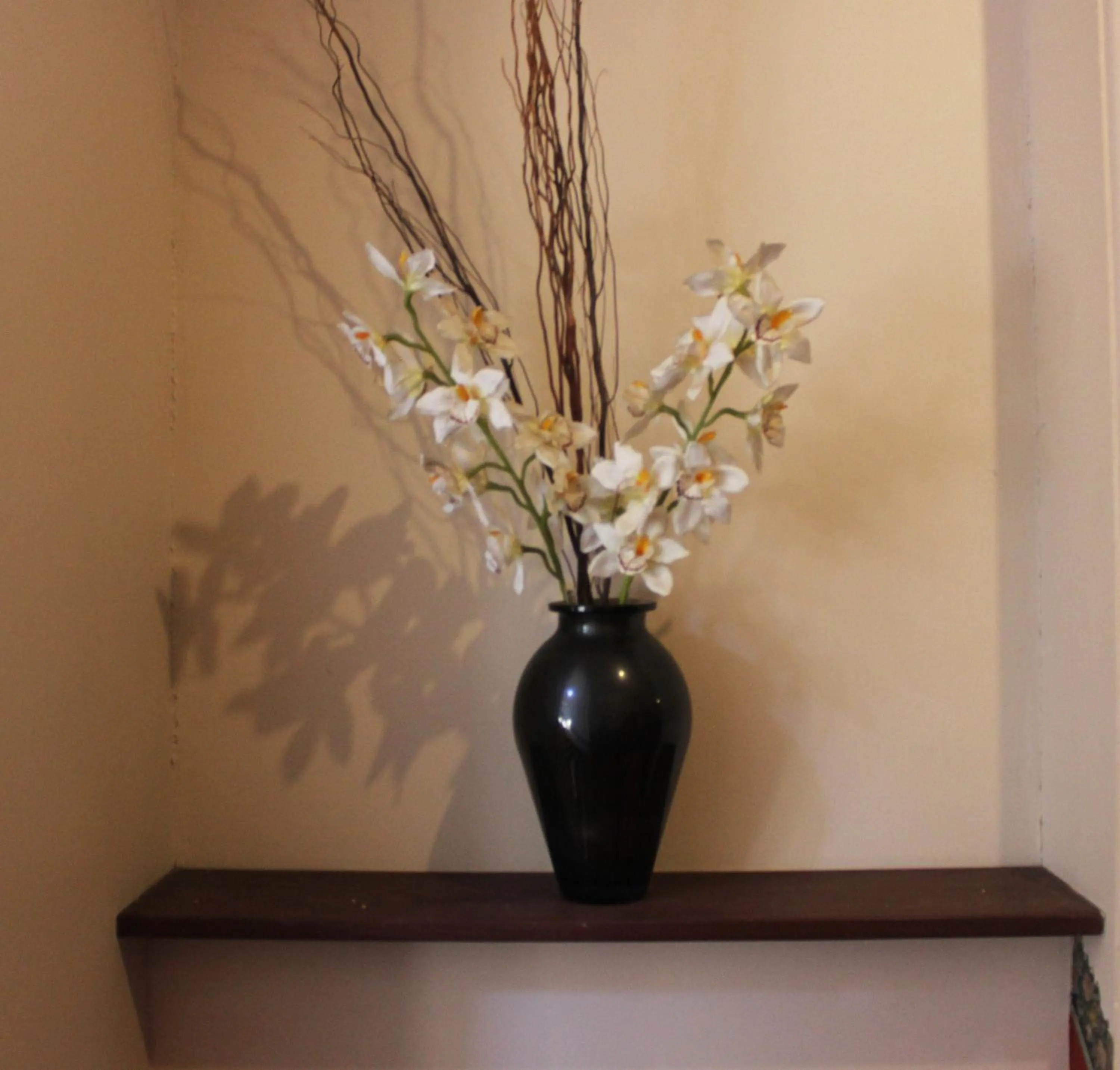 Day in Burwood Bed and Breakfast