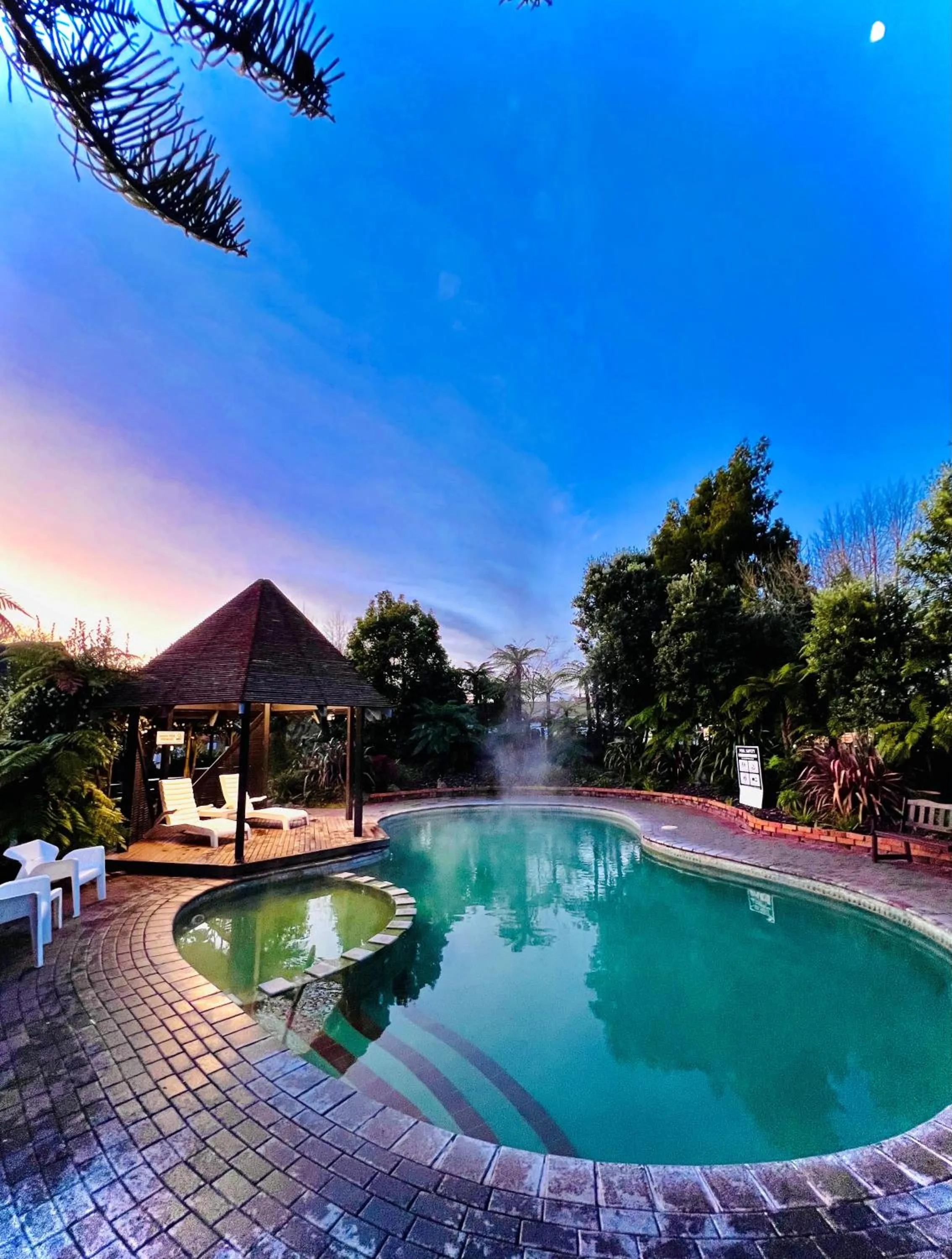 Natural landscape in Wylie Court Motor Lodge