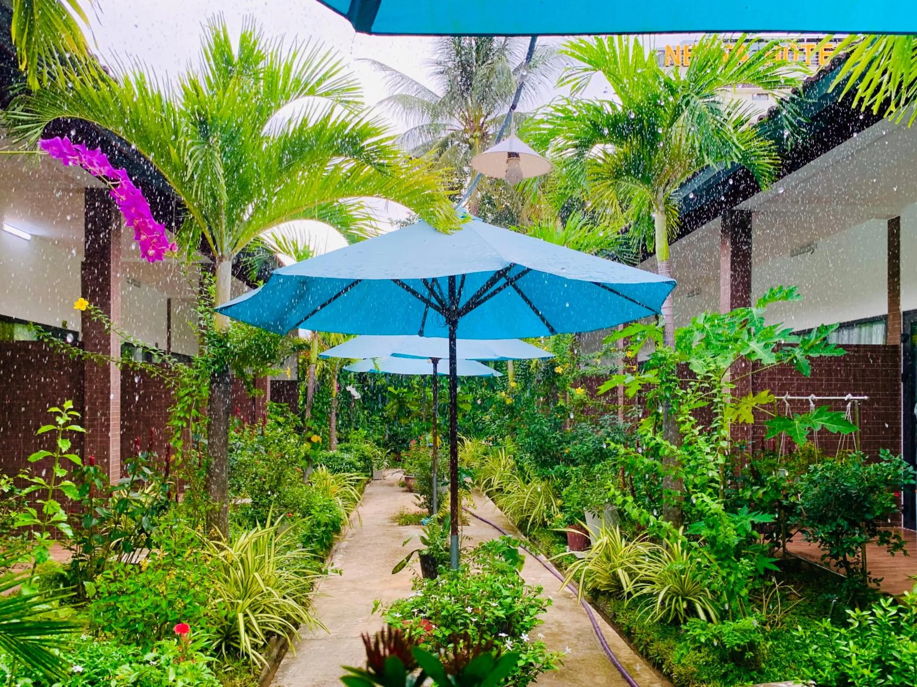 Patio in Canary Bungalow
