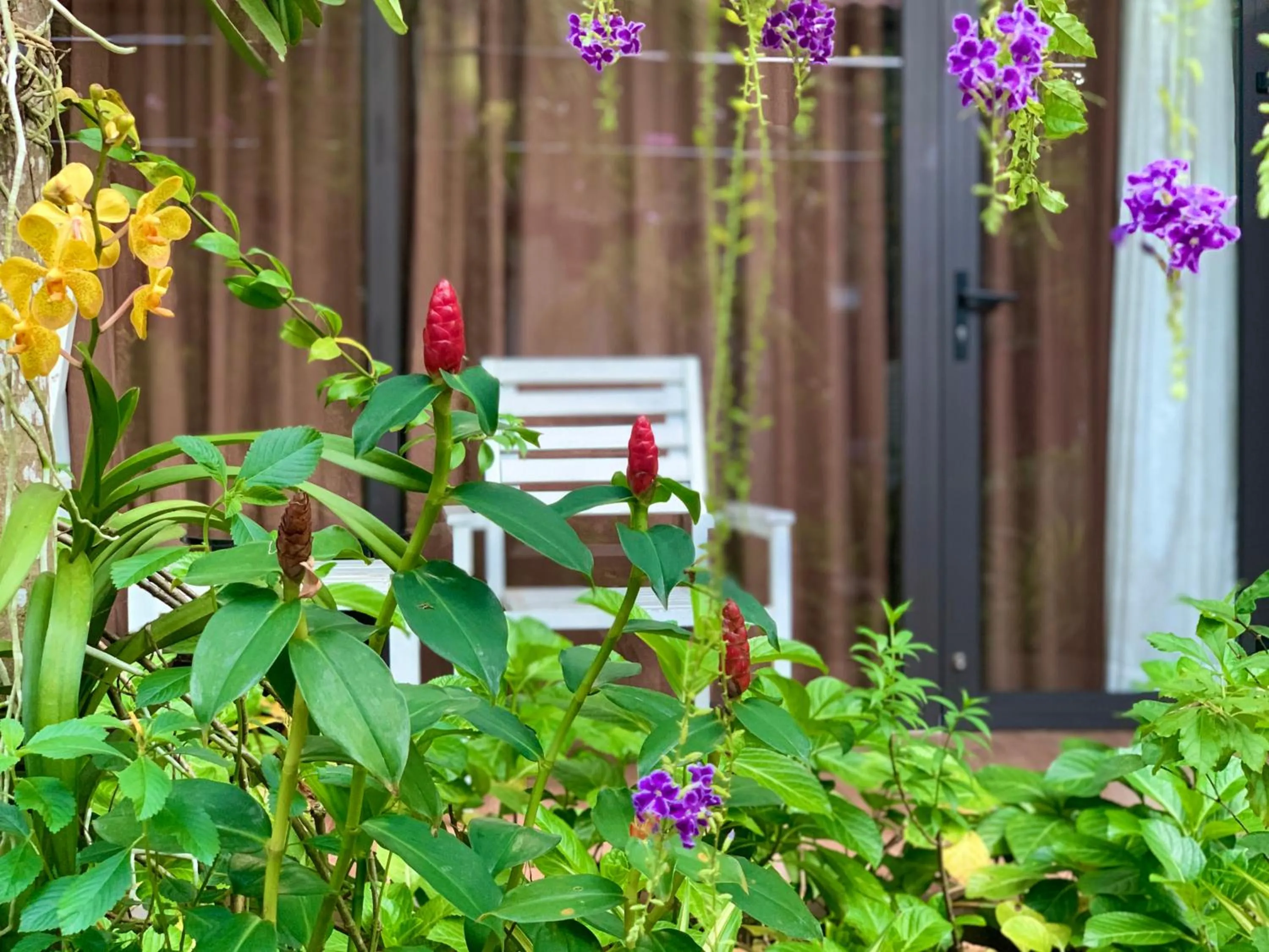 Patio in Canary Bungalow