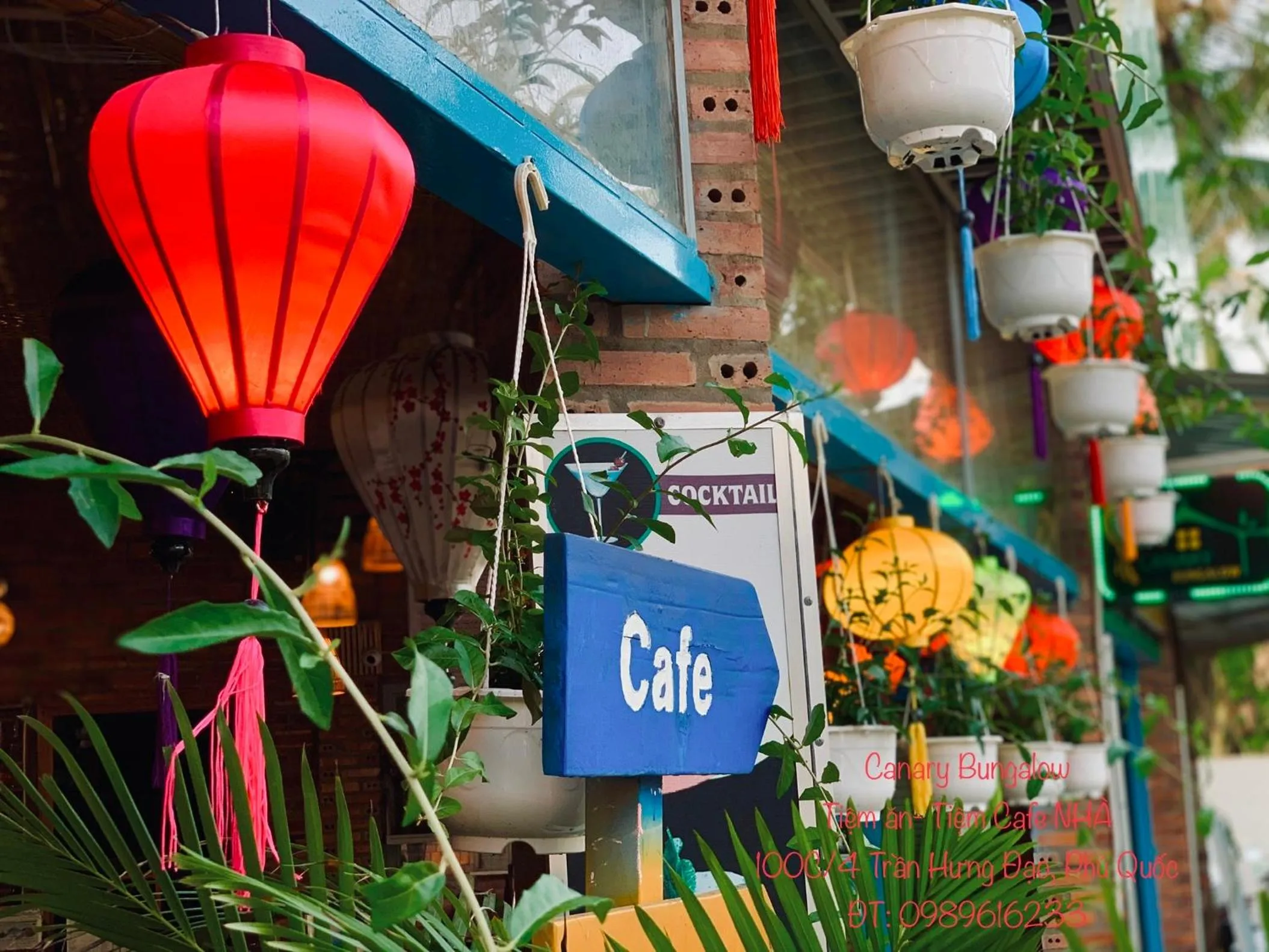 Restaurant/places to eat in Canary Bungalow