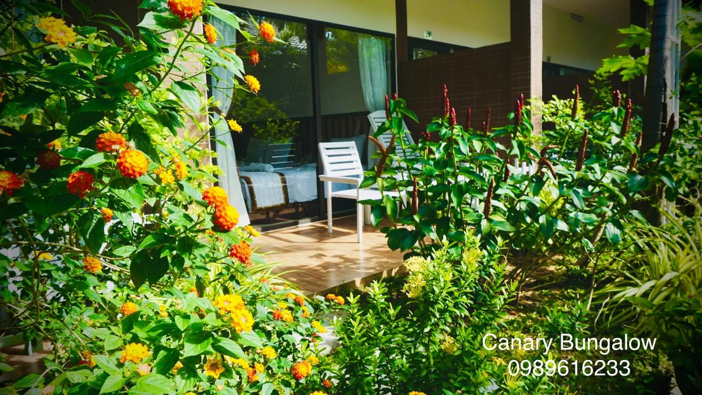 Patio in Canary Bungalow