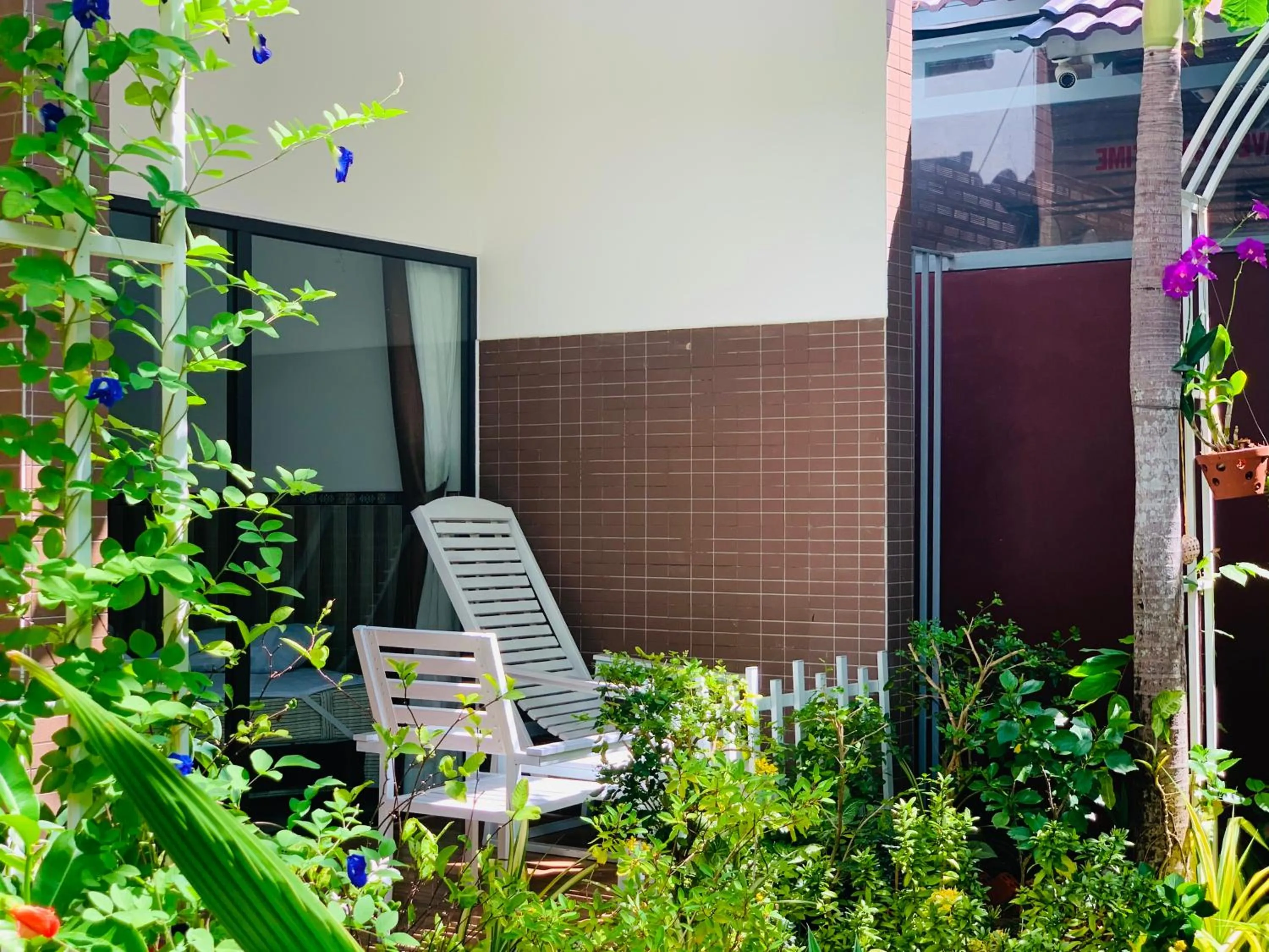 Garden in Canary Bungalow