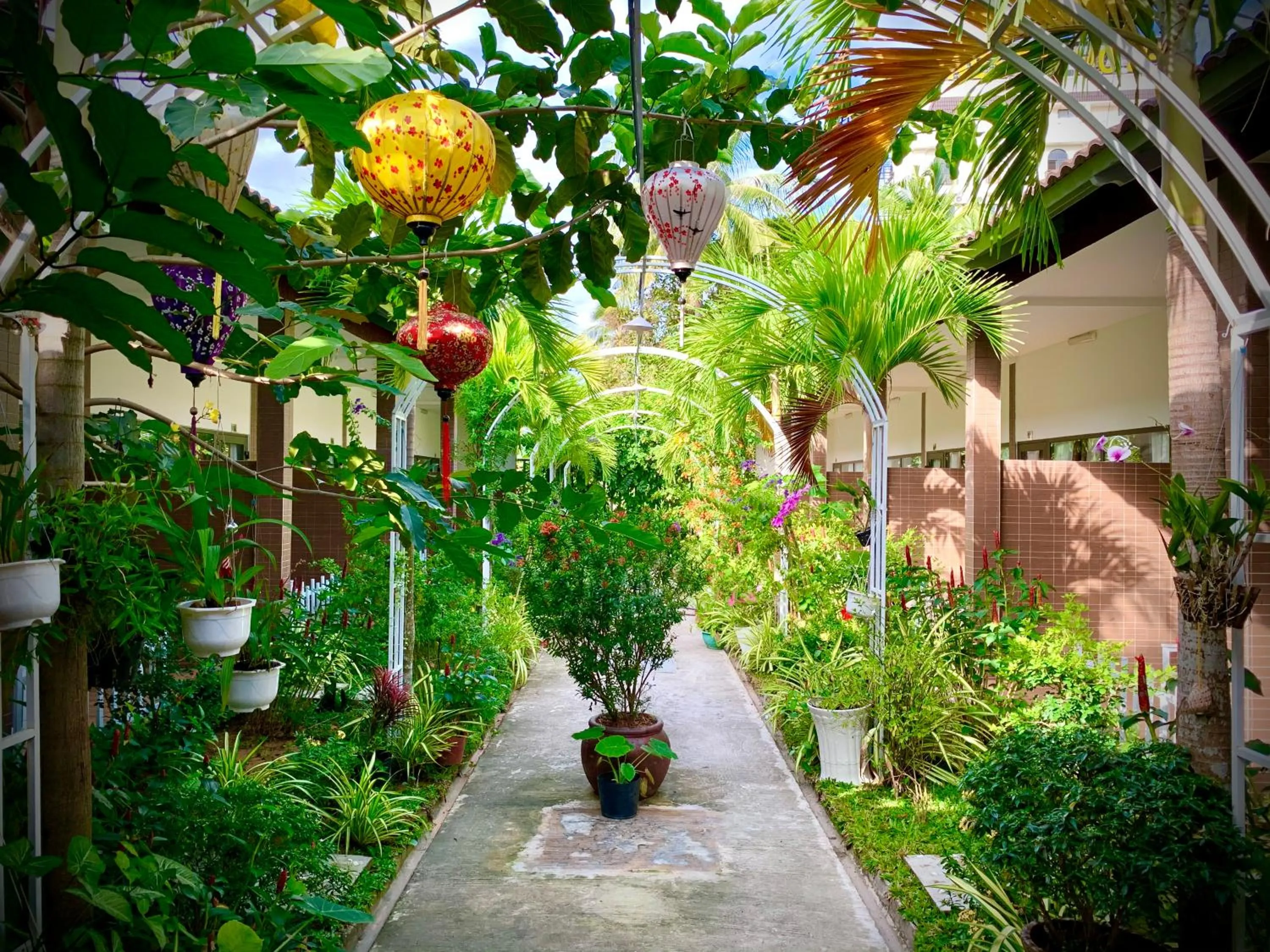 Patio in Canary Bungalow