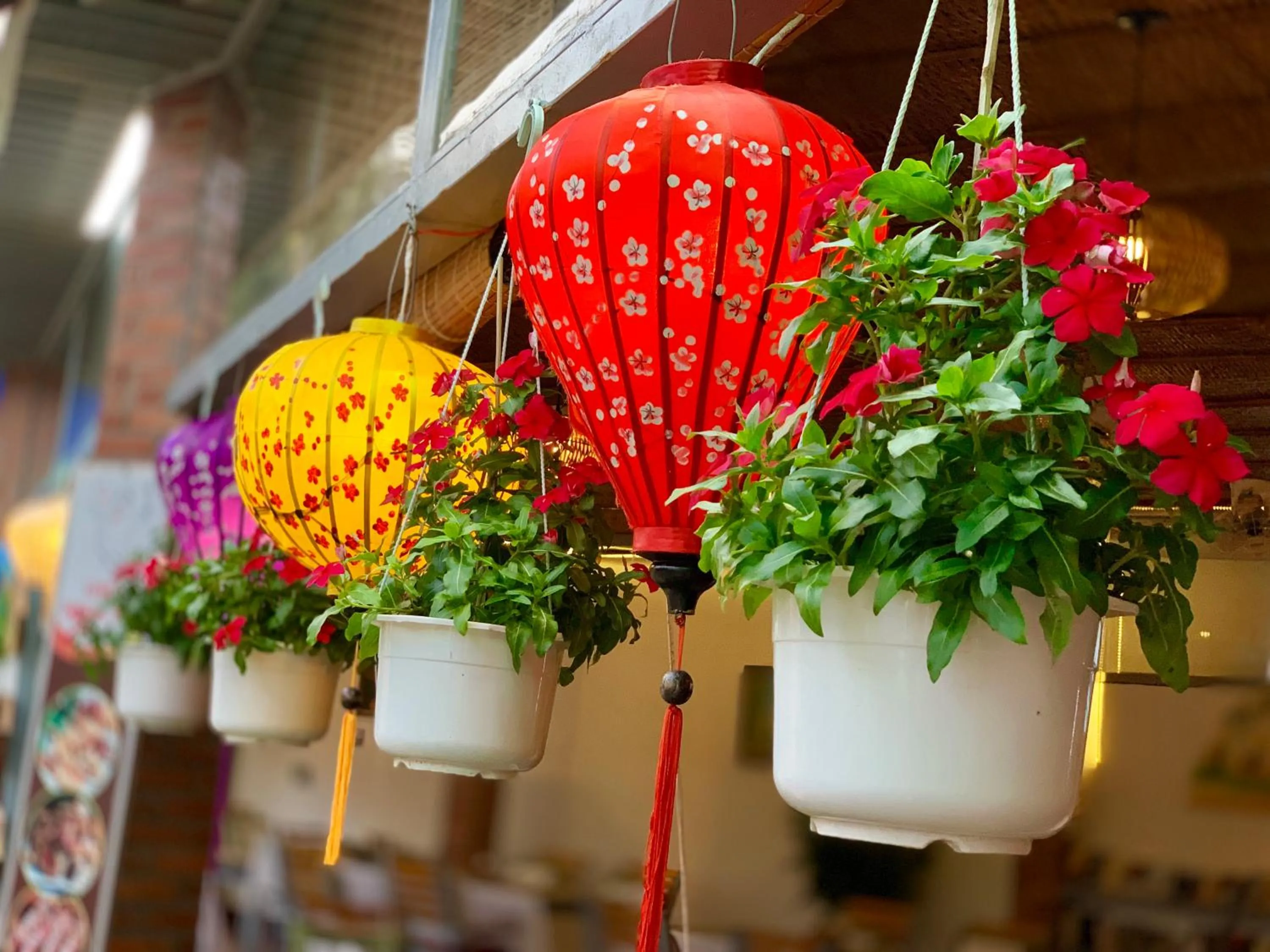 Restaurant/places to eat in Canary Bungalow