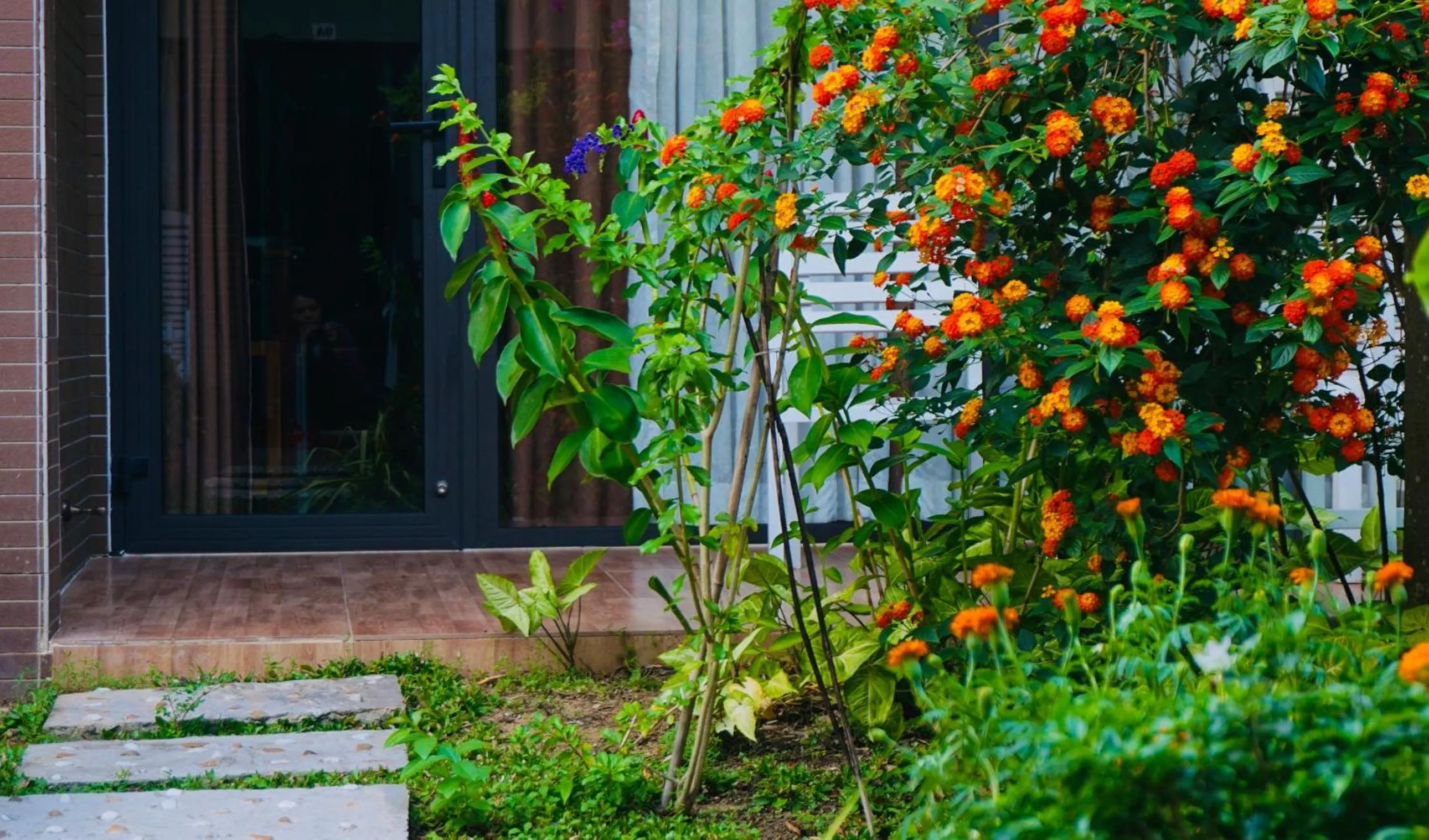 Patio in Canary Bungalow