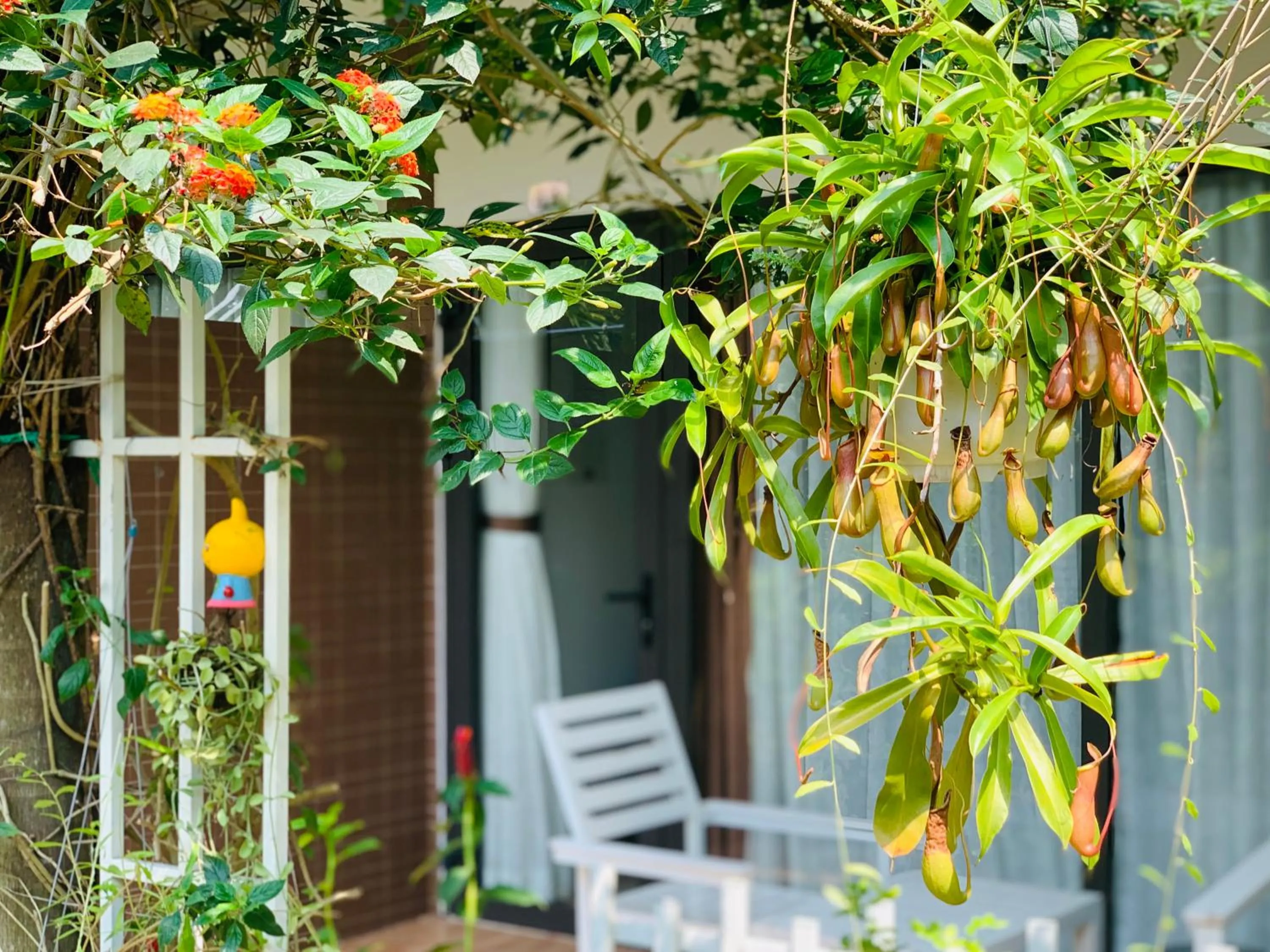 Patio in Canary Bungalow