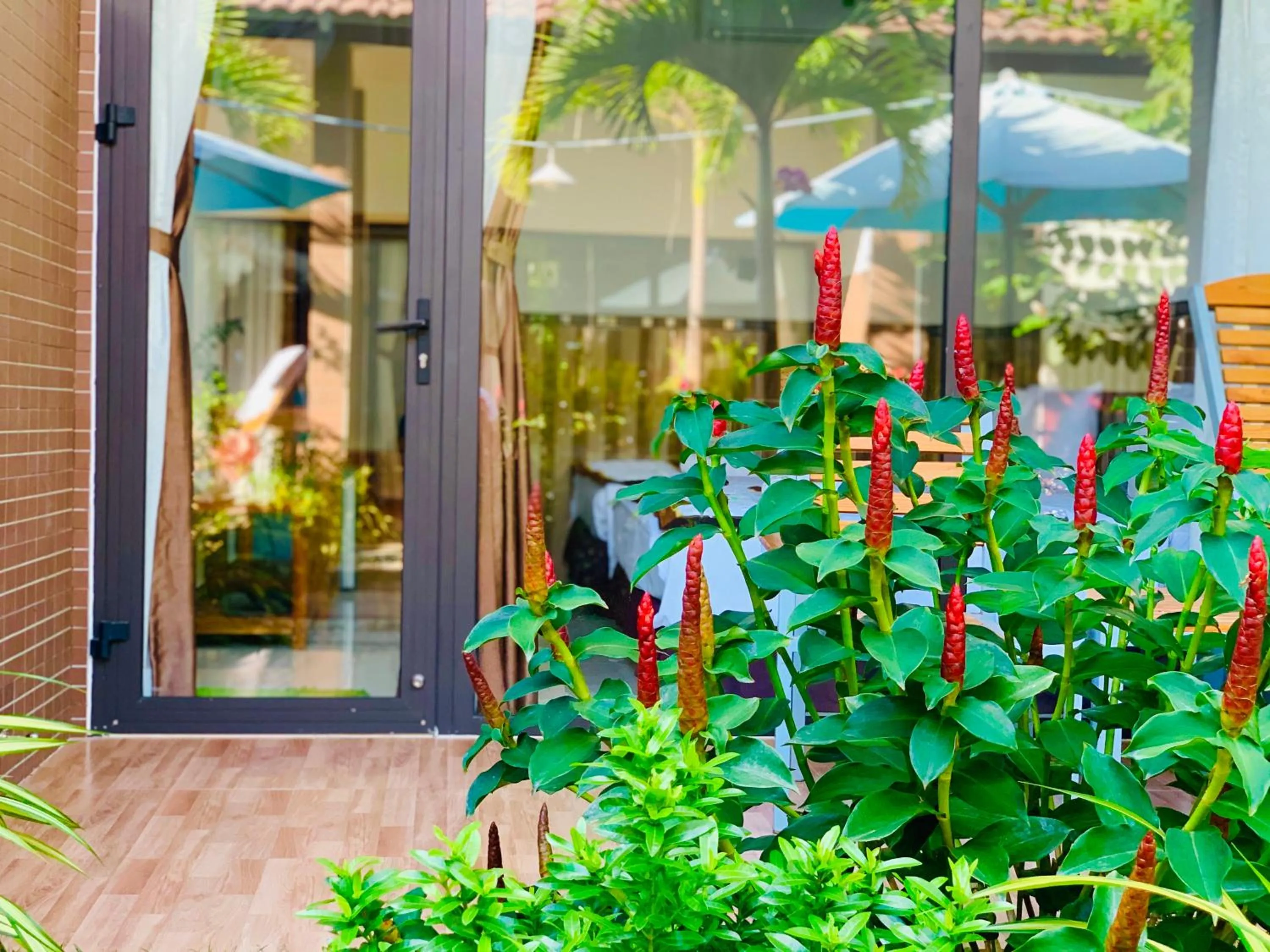 Garden view in Canary Bungalow