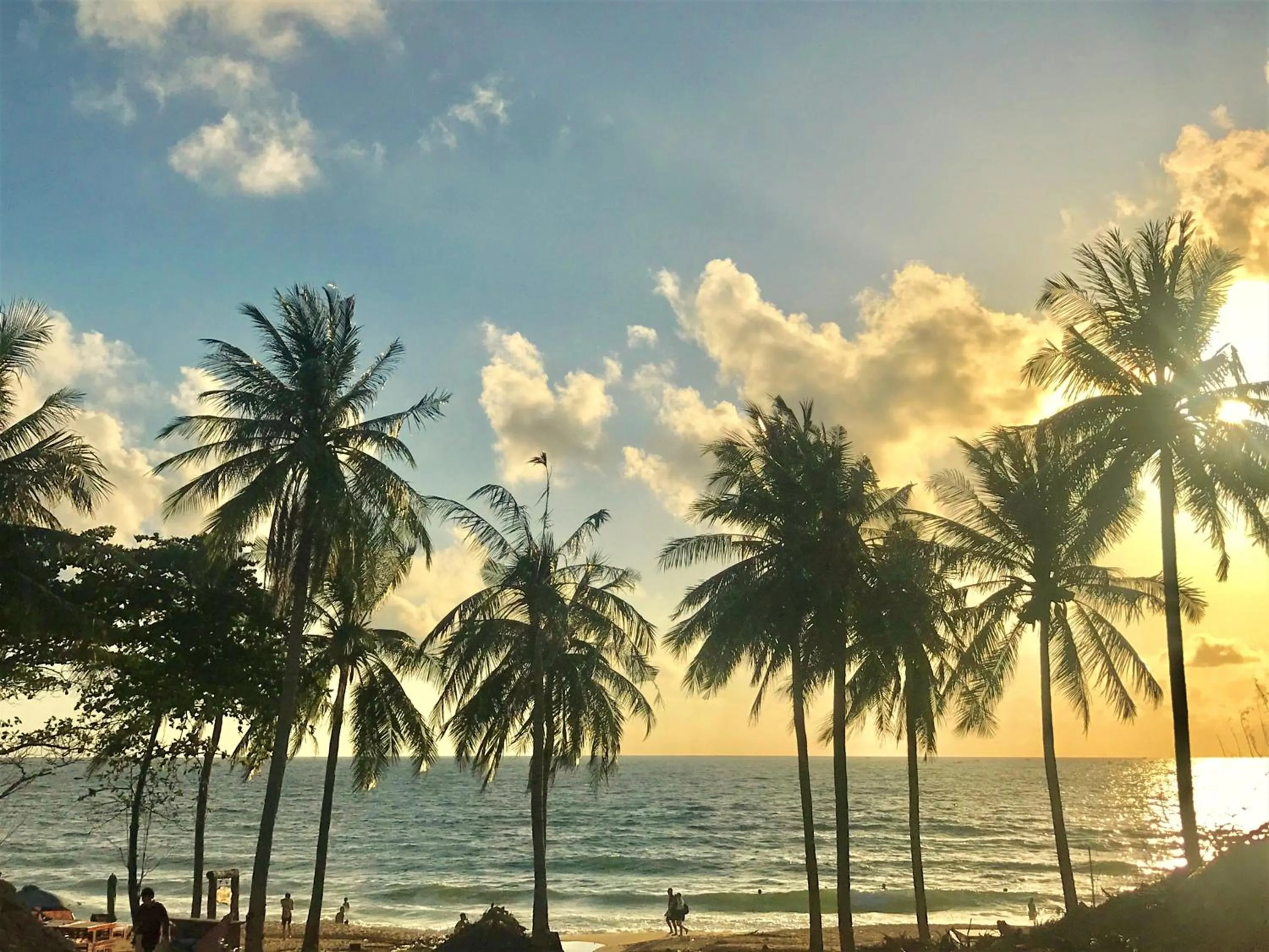 Beach in Canary Bungalow