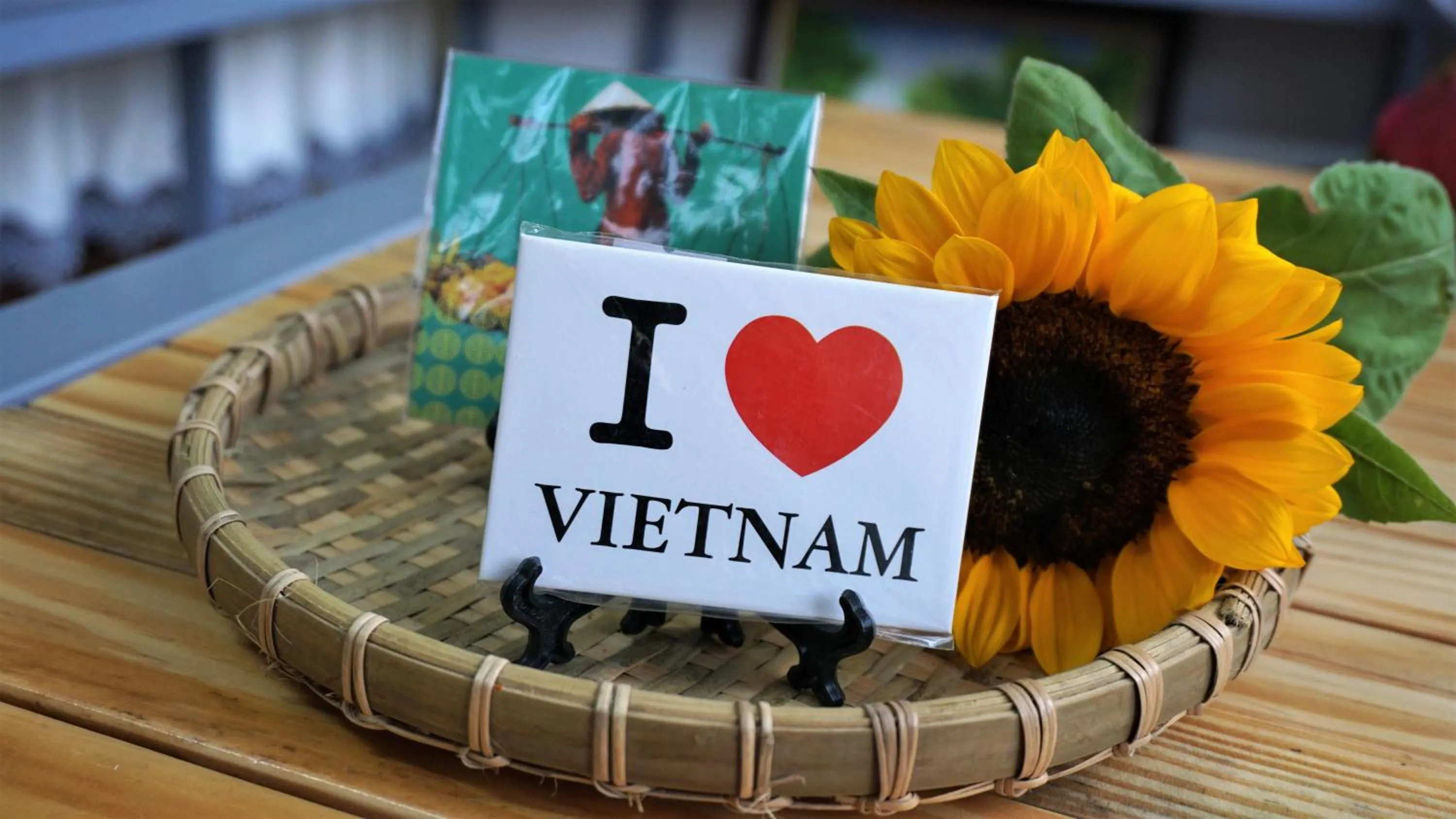 Shopping Area in Canary Bungalow