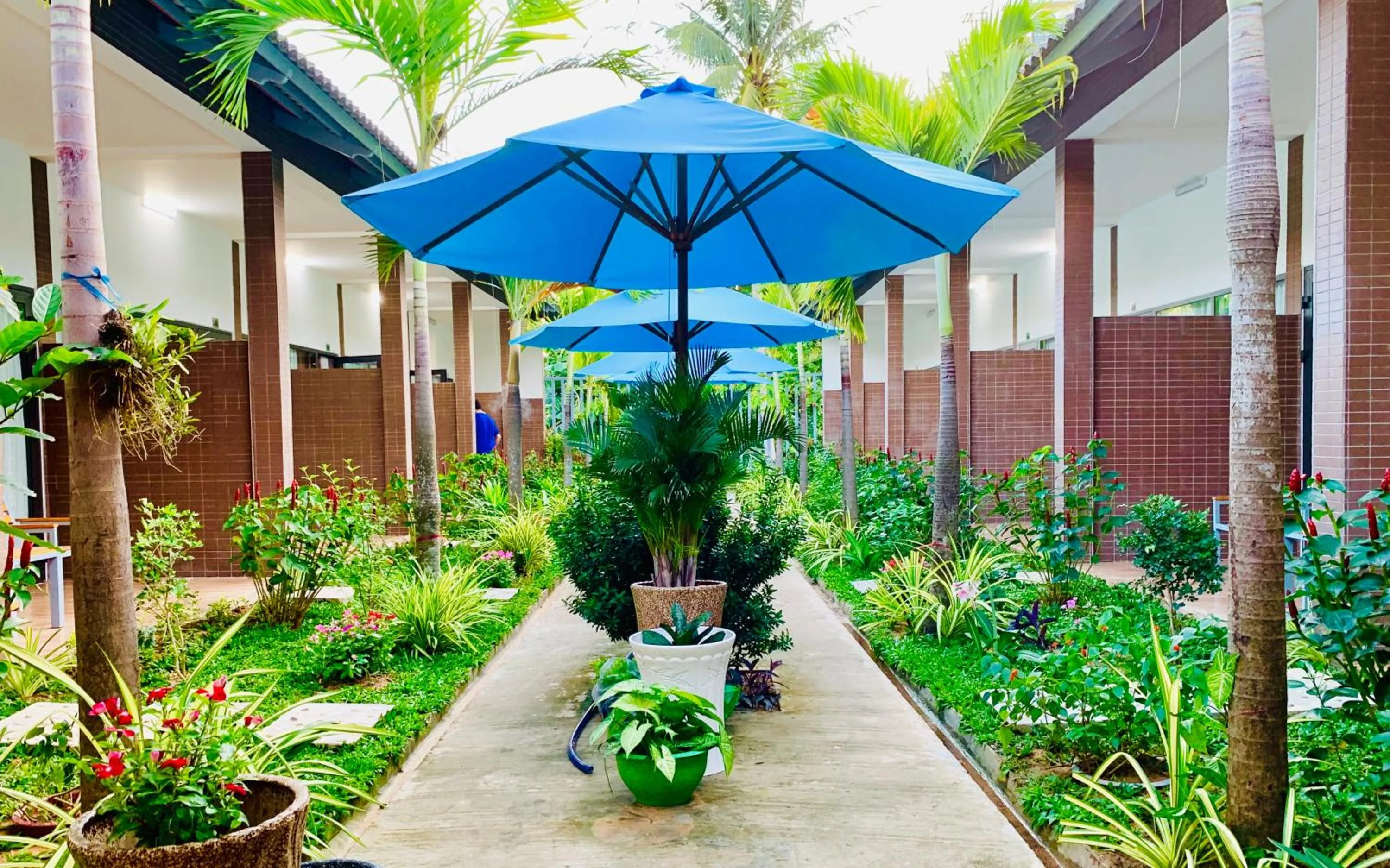 Patio in Canary Bungalow