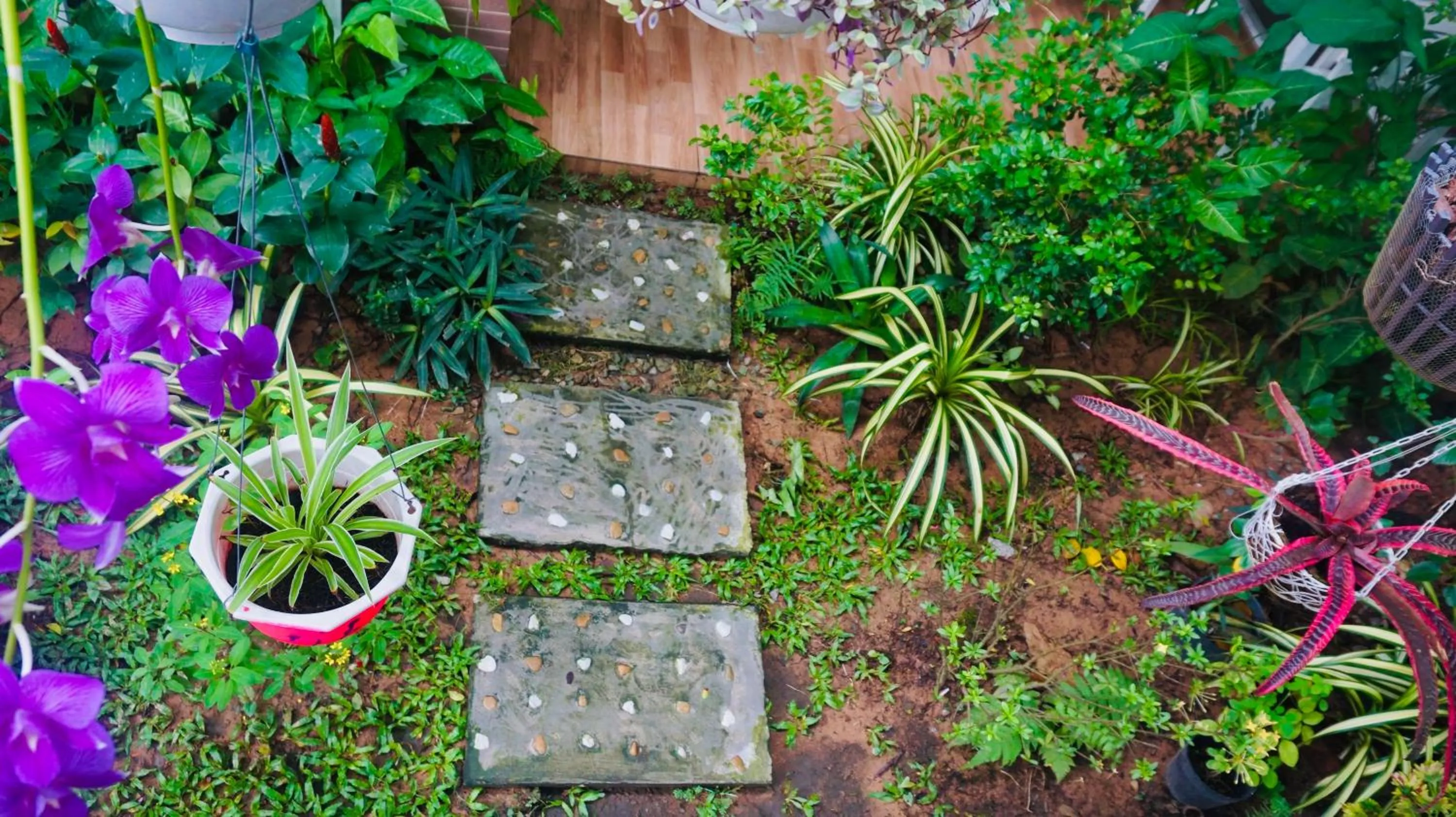 Patio in Canary Bungalow