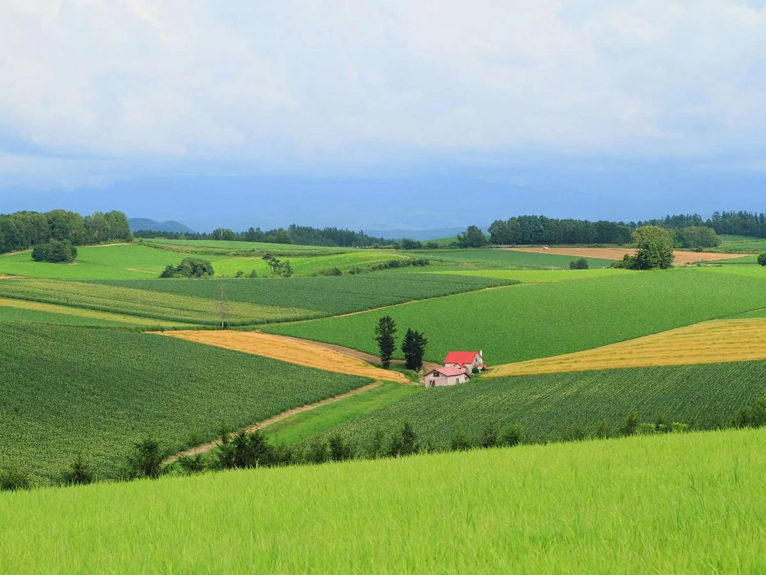 Nearby landmark in Hotel Naturwald Furano