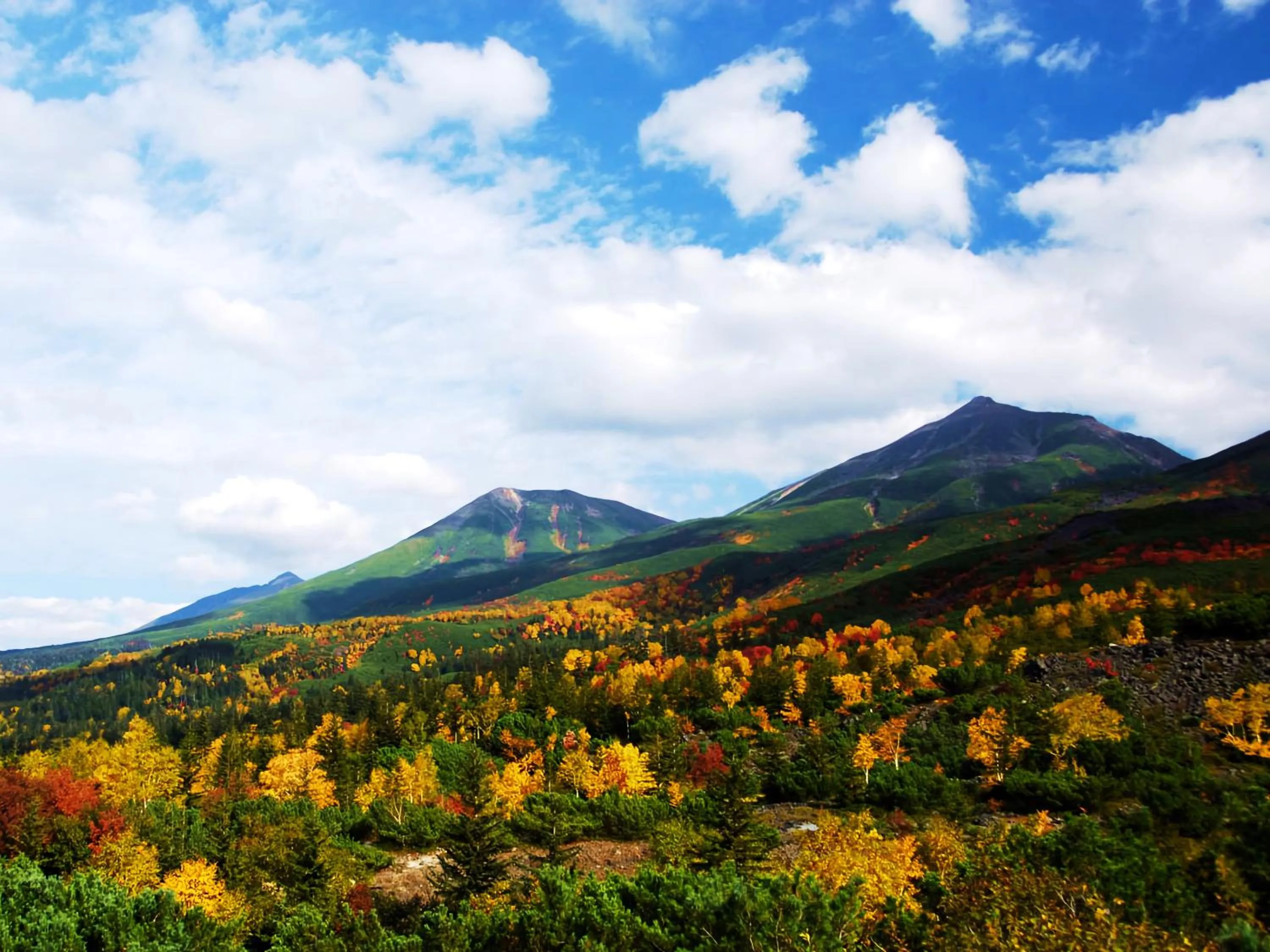 Nearby landmark in Hotel Naturwald Furano